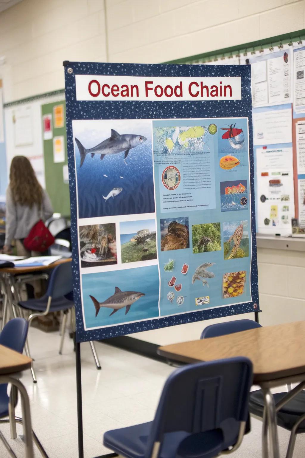 Comprehend the critical function sharks serve within marine ecosystems.