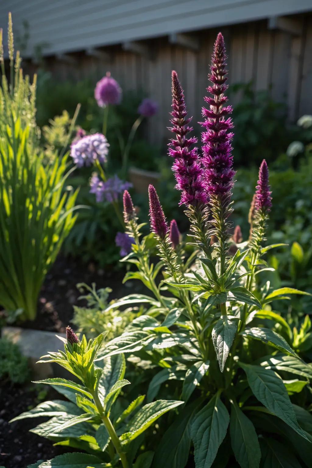 Transform your backyard with perennials: vibrant beauty that returns year after year.