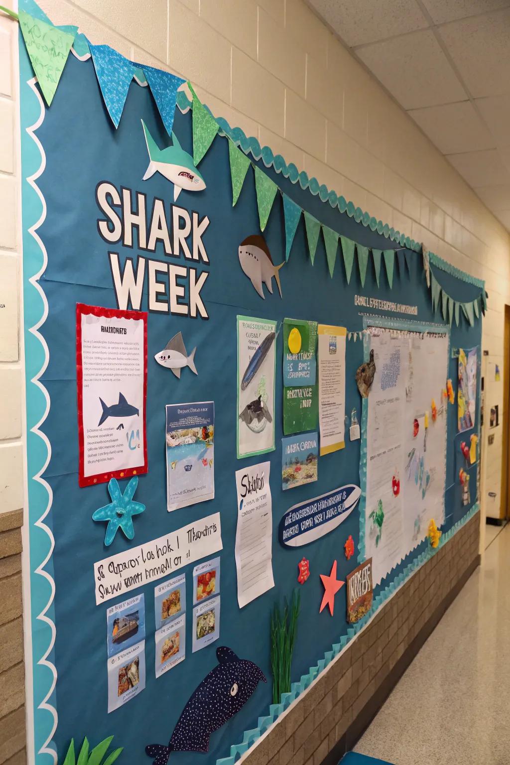 Partake in the fervor of Shark Week through this themed presentation.