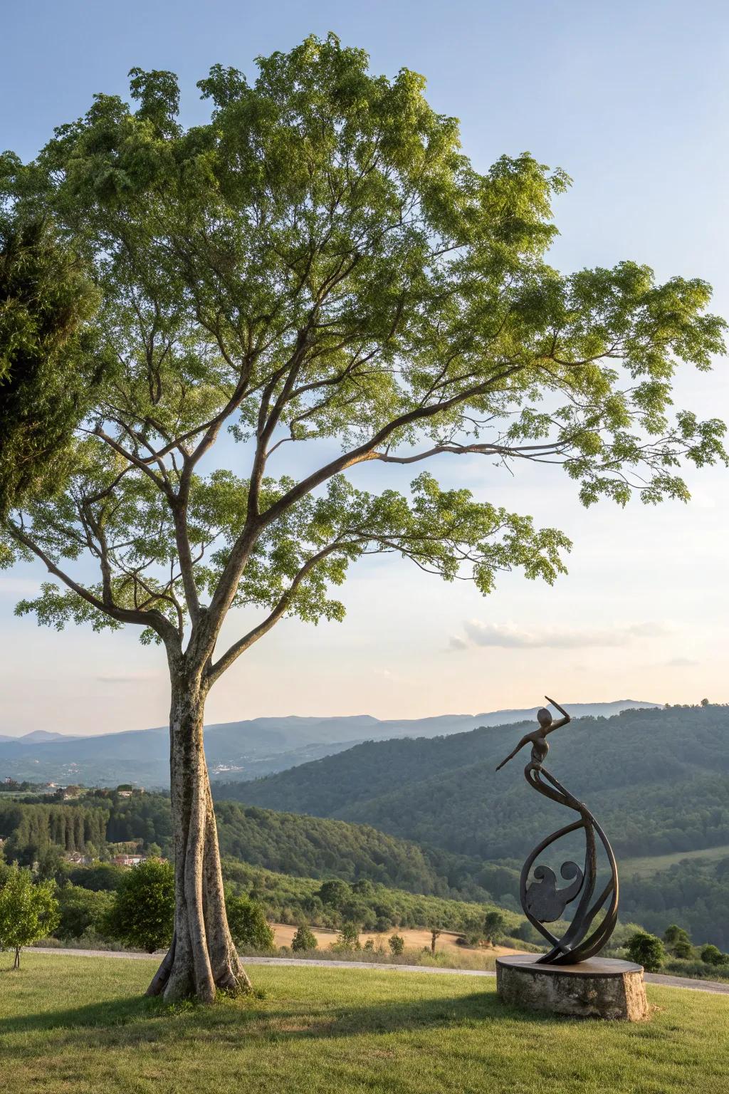 Artful sculptures infuse an inventive nuance into tree landscaping.