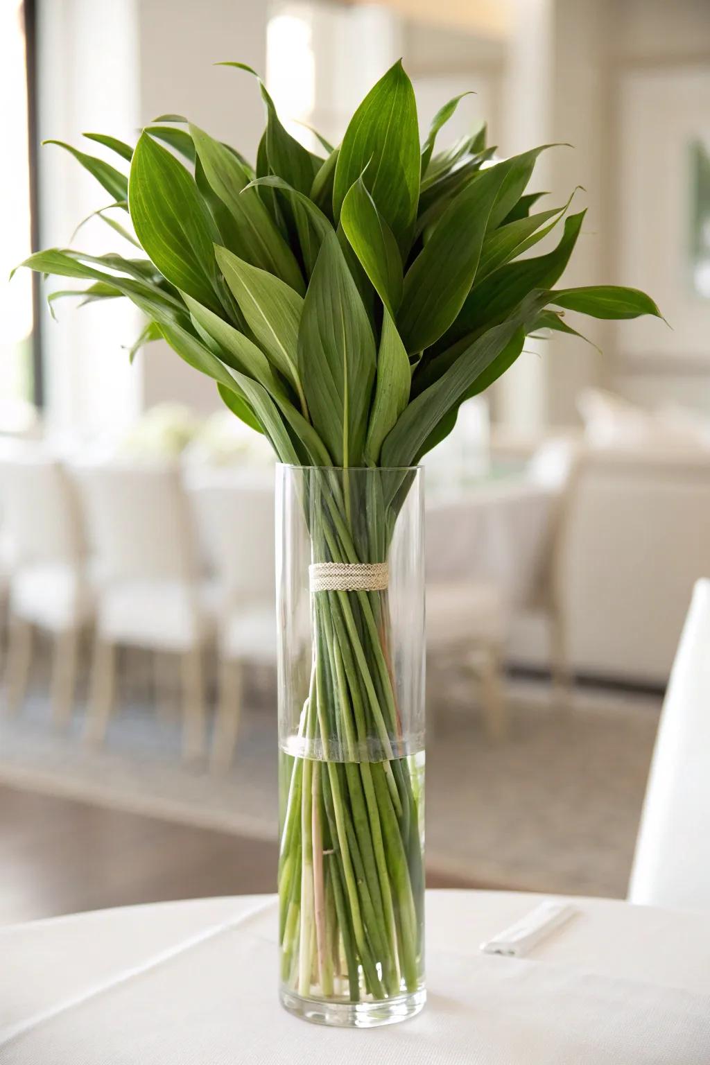 A tall glass vase with Aspidistra leaves, keeping the focus on the flowers with a polished look.