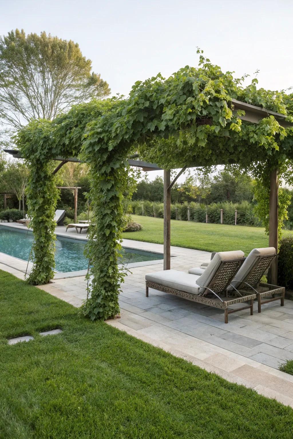 Design a restful hideaway with a pergola draped in climbing greenery.