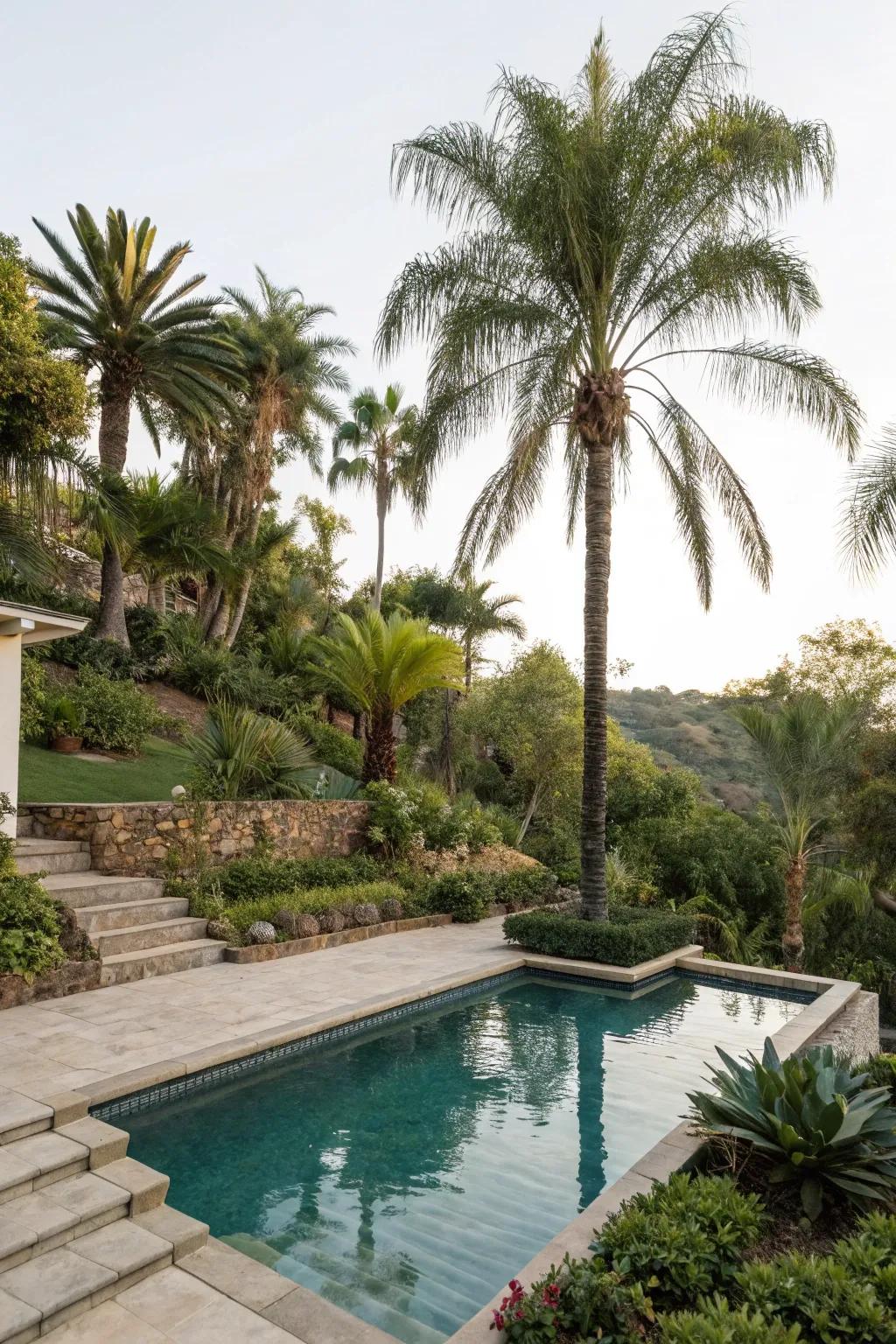 Tiered vegetation with palms generates an abundant, rainforest-like impression.
