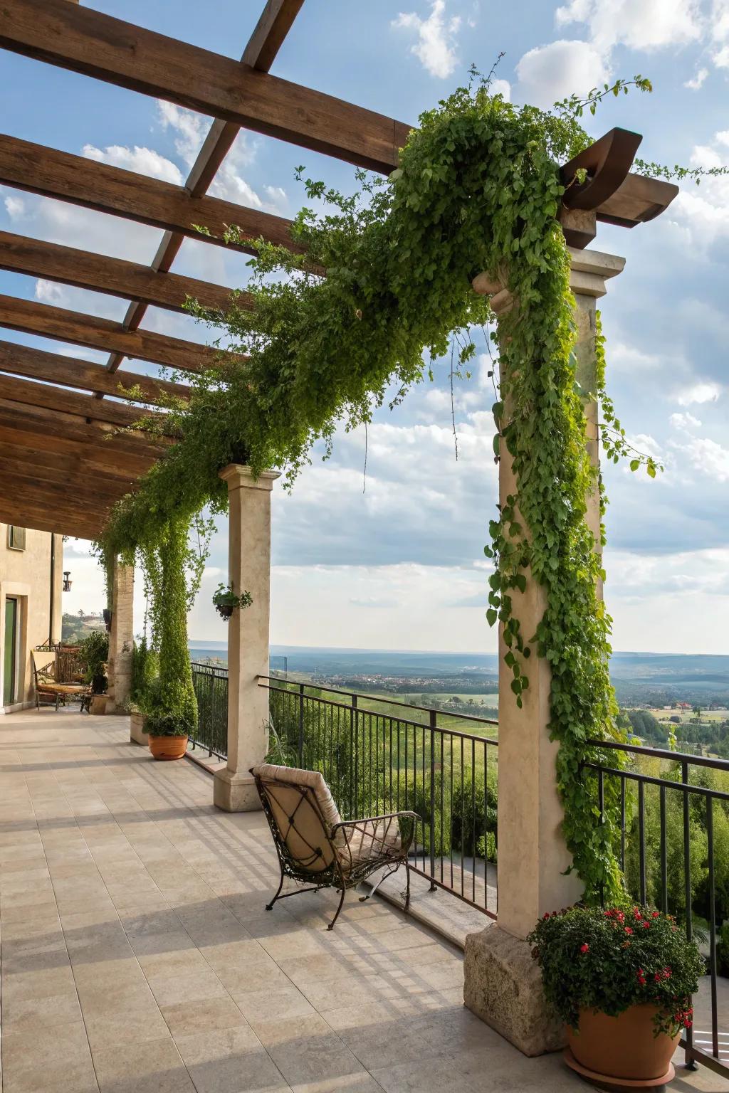 A delightful wood pergola adorned with climbing plants on a balcony.