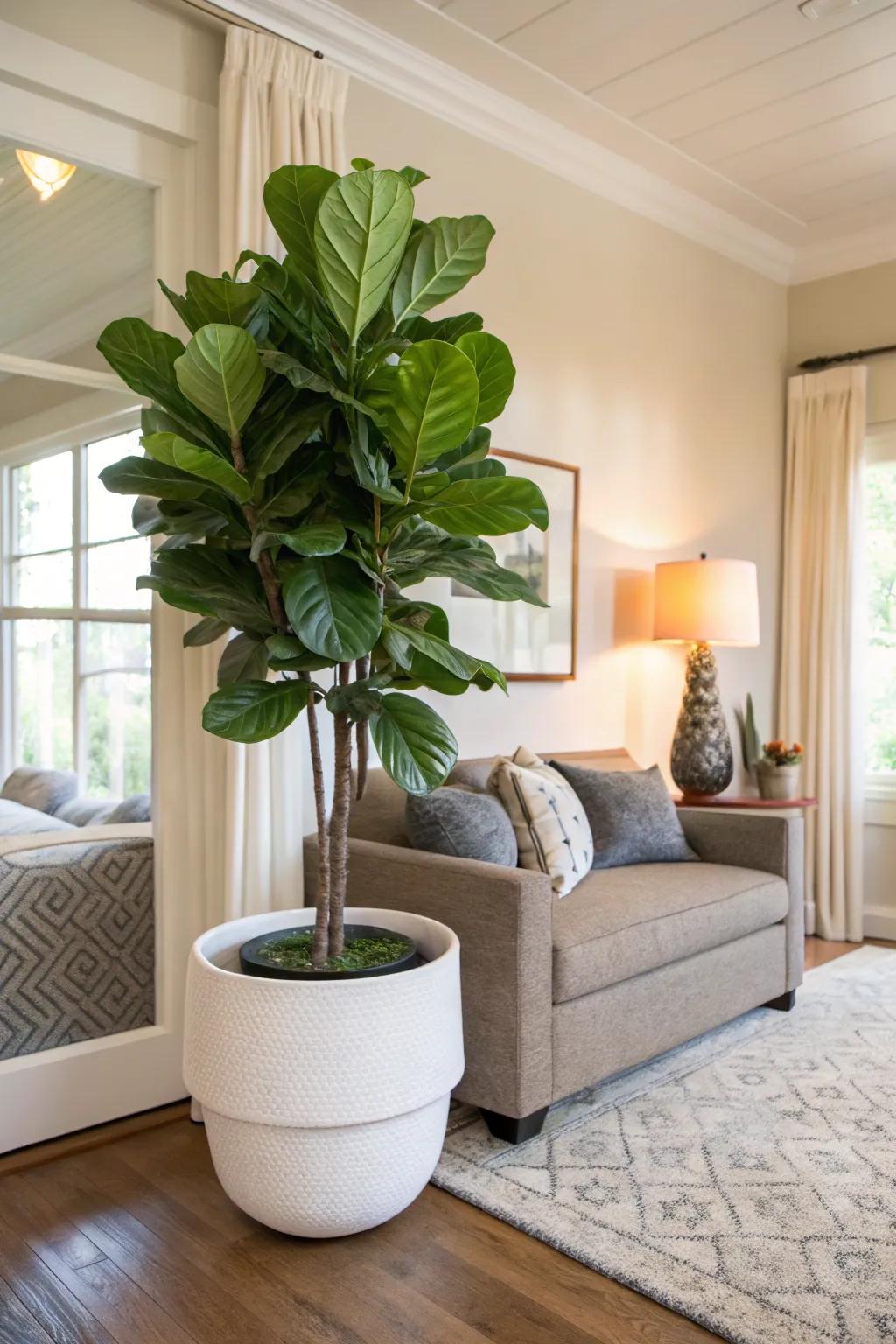 Add a burst of green with a statement plant in a chic container.