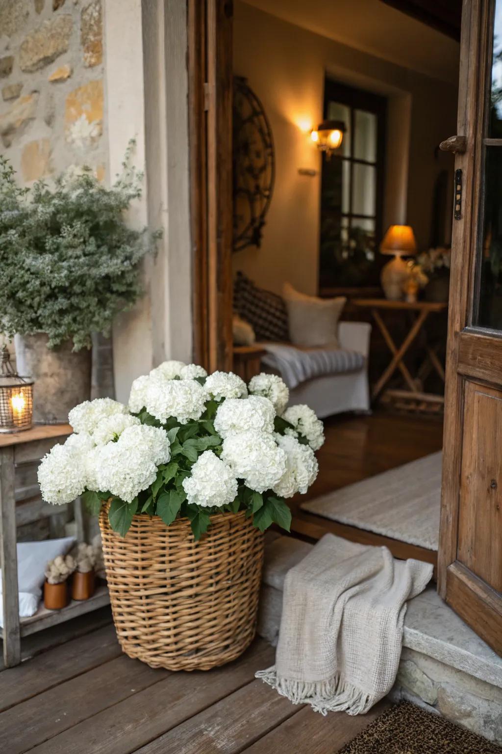 Ivory hydrangeas inside a basket greet guests with a countryside appeal.