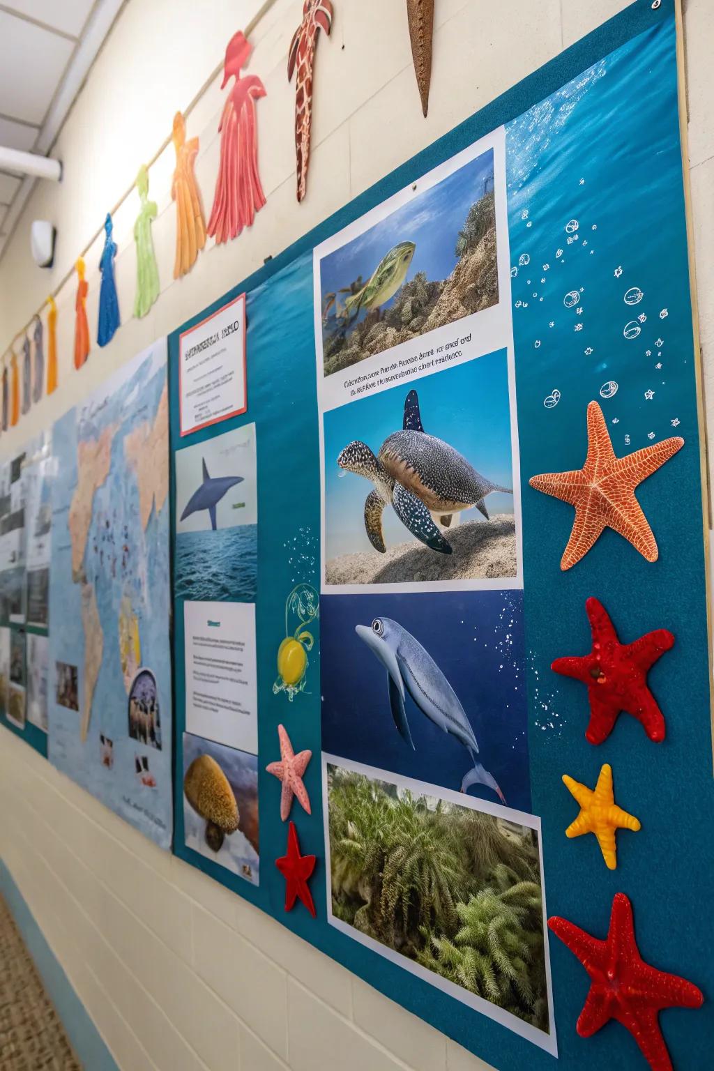 Highlight aquatic life forms in this captivating presentation.