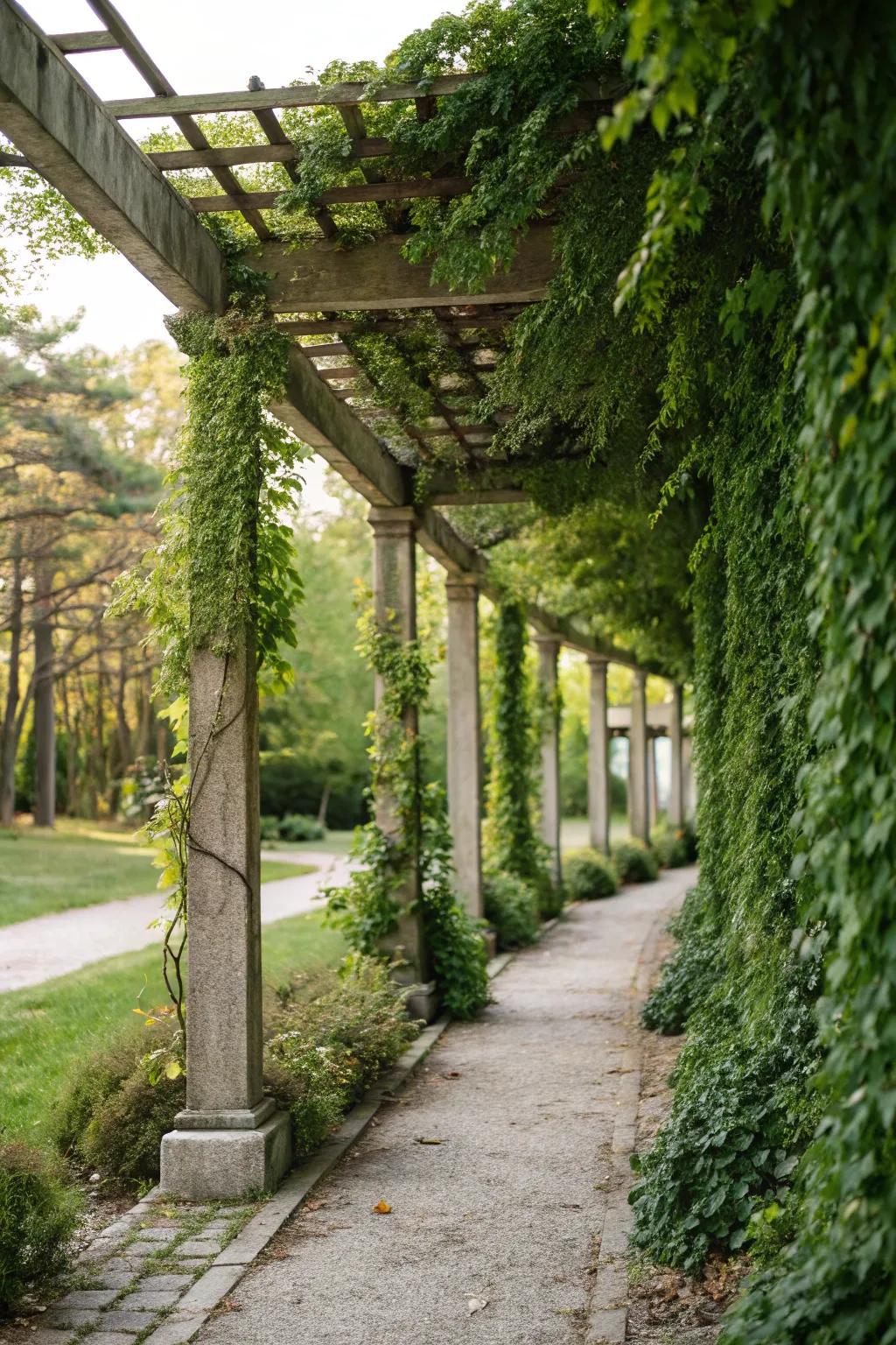A canopy showcasing a sky-high garden presents a revitalizing verdant accent to modest patios.