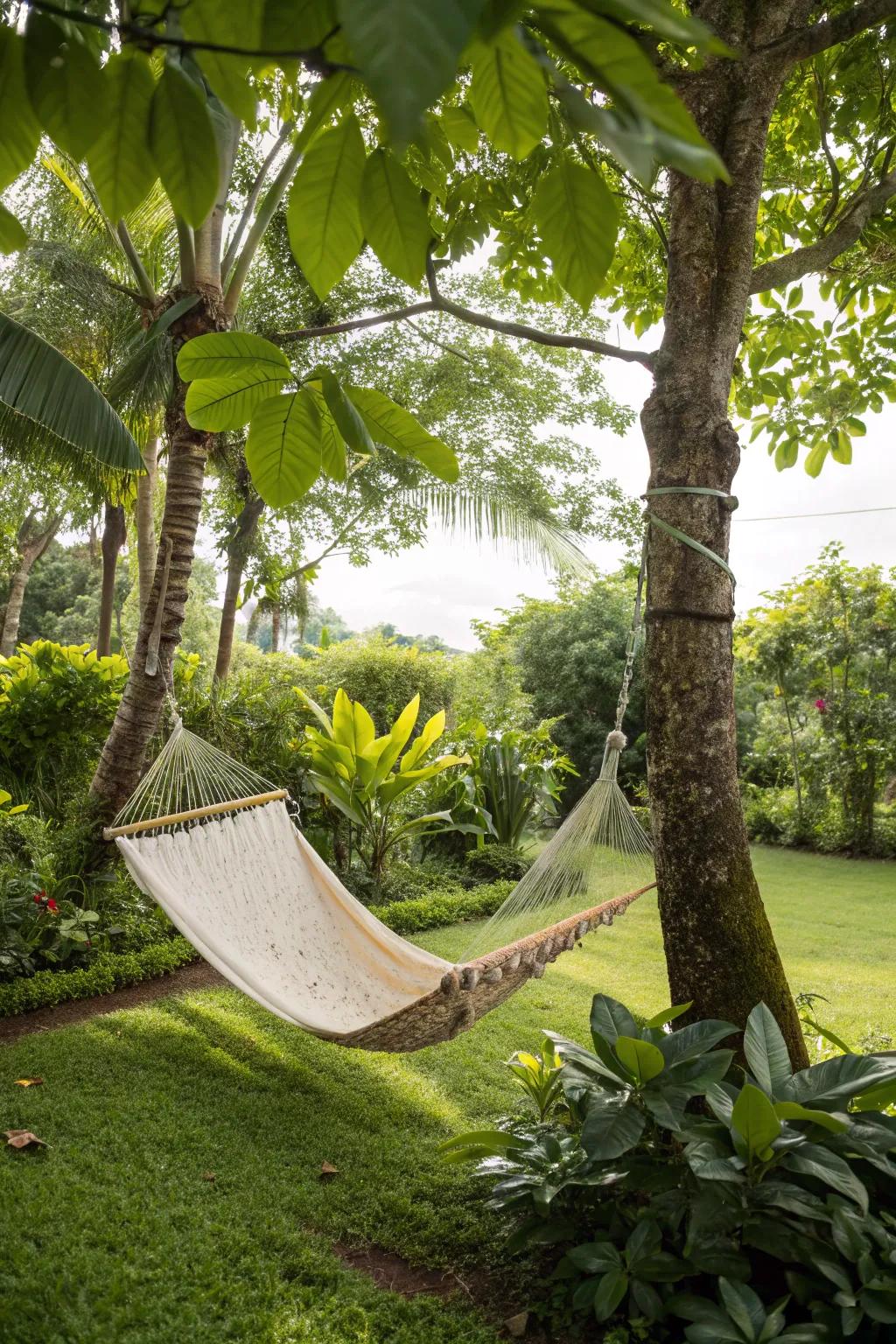 A hammock spot for relaxing.