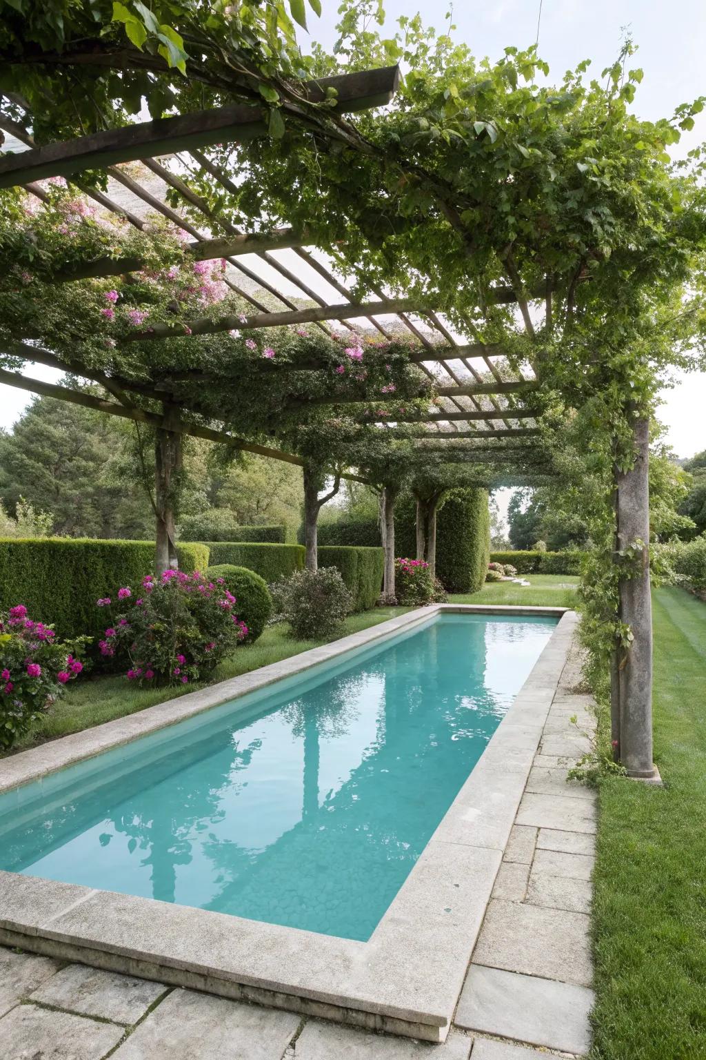 A pergola covered in climbing plants delivers natural charm and shade.