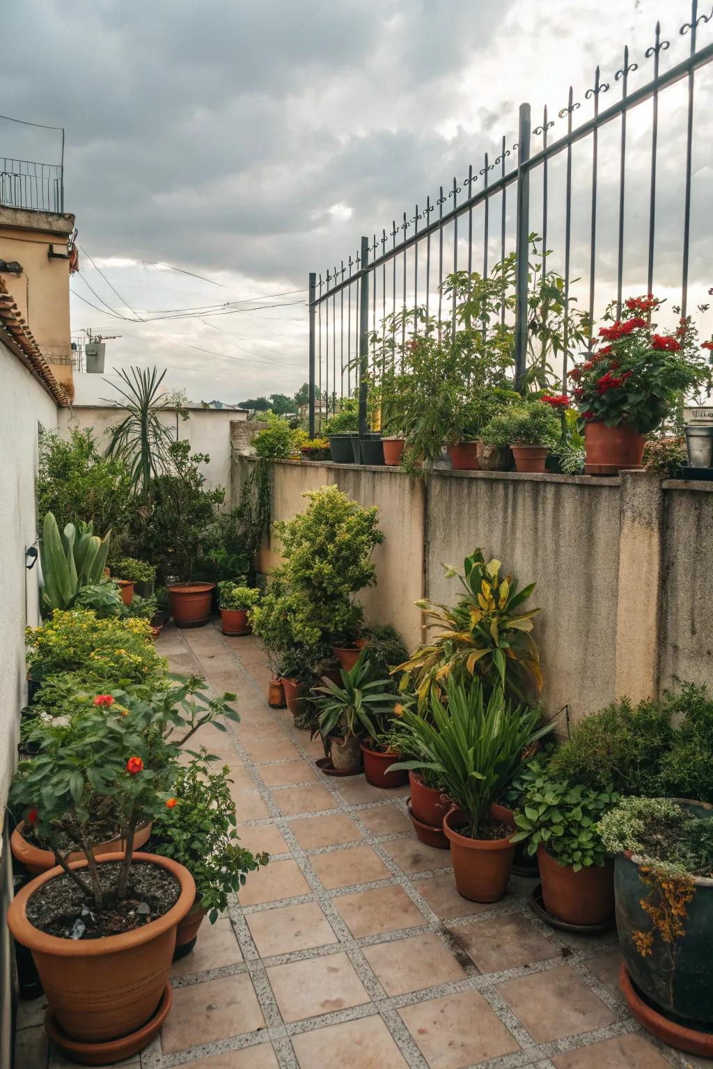 Potted plants turn a patio into a verdant escape.