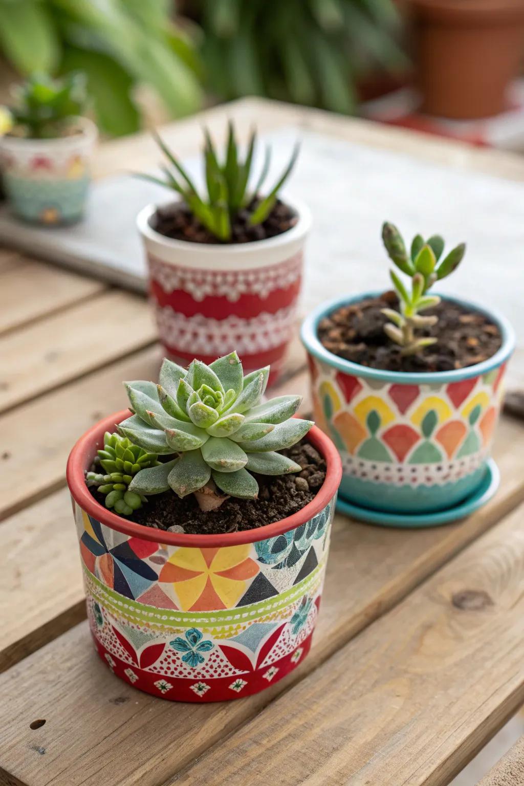 Succulent plants serve as lovely, easy-care tokens that guests will treasure for years to come.