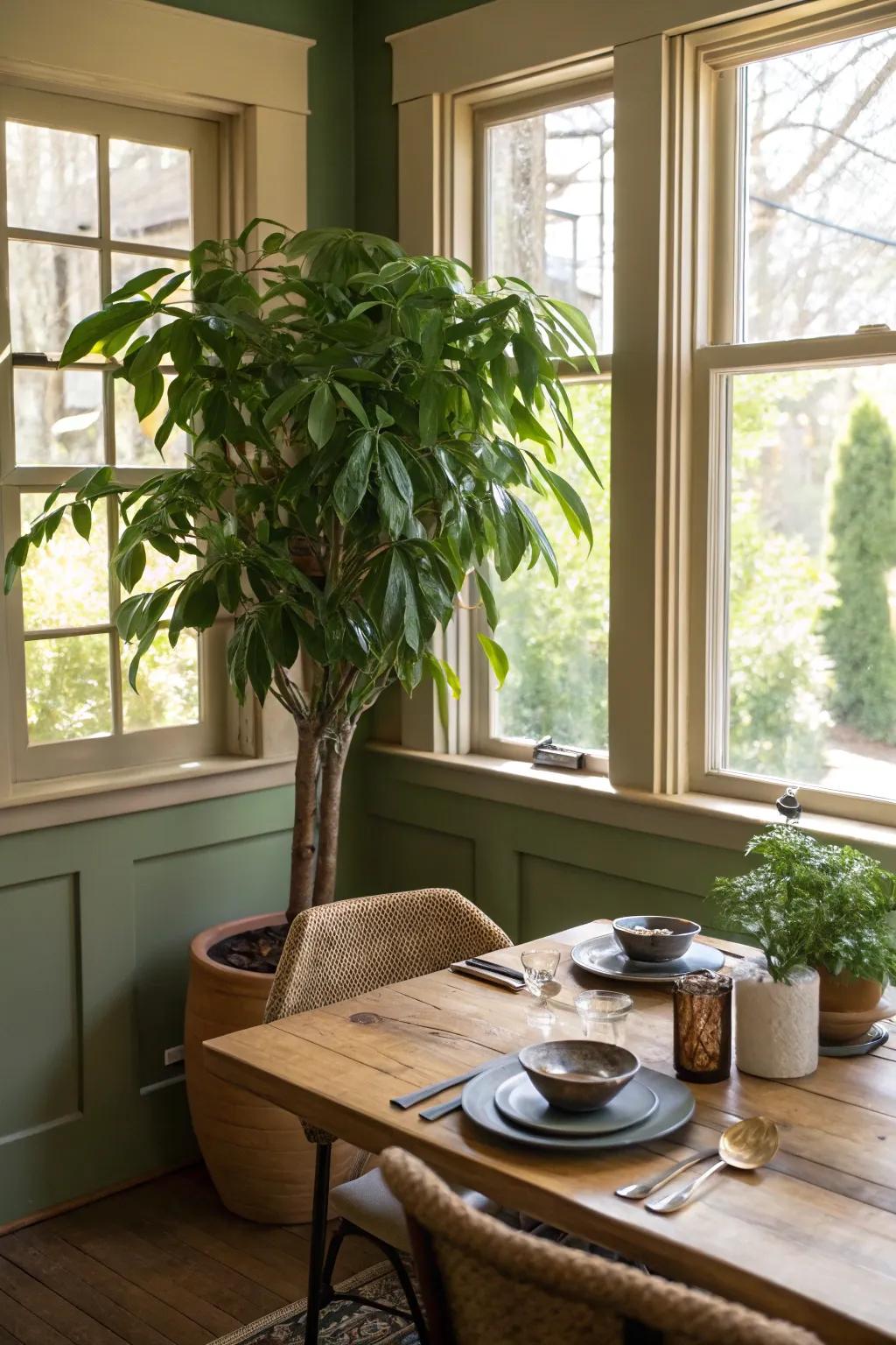 A statement plant brings a natural touch to dining room corners.