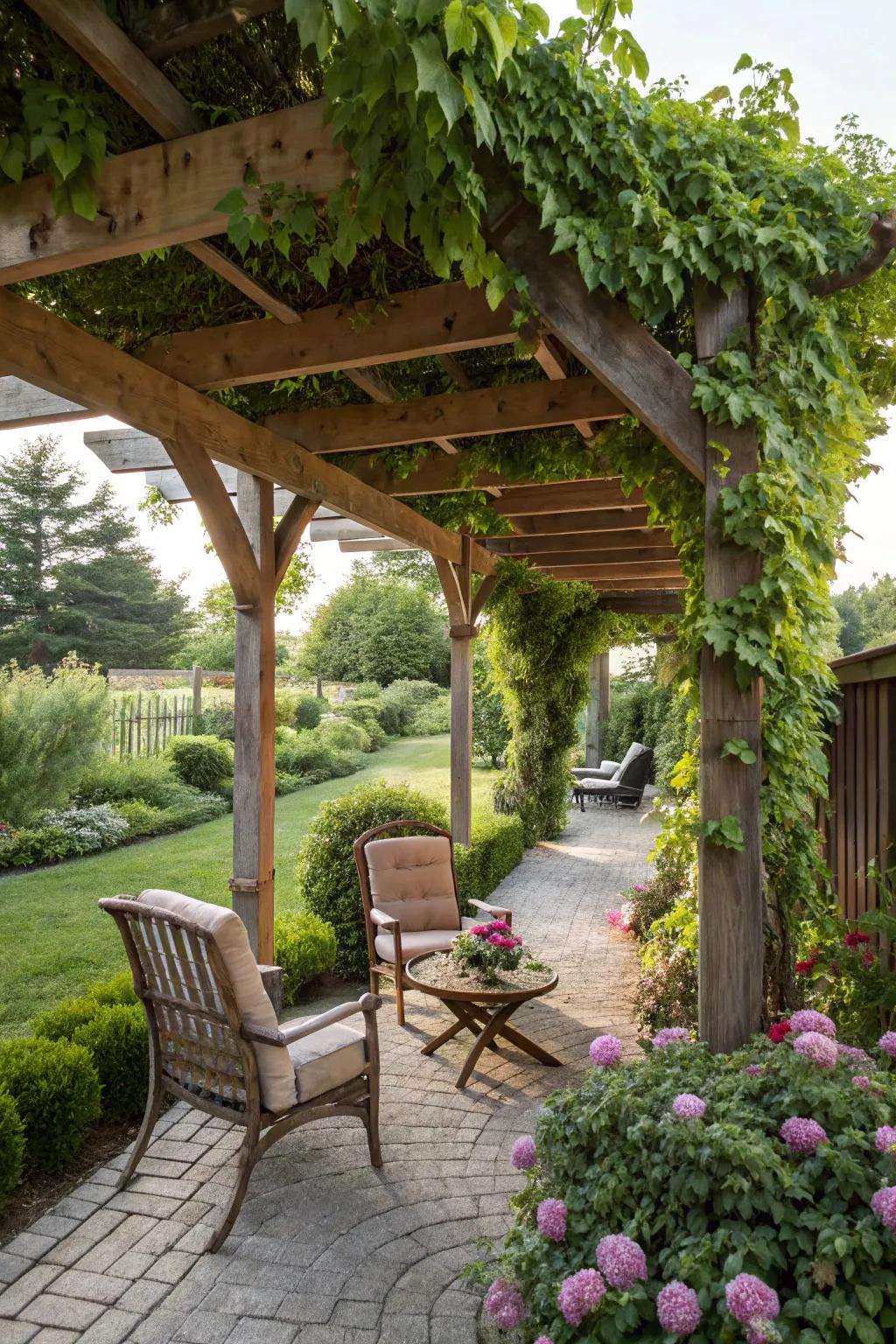A pergola with climbing greenery fashions a serene and fashionable outdoor space.