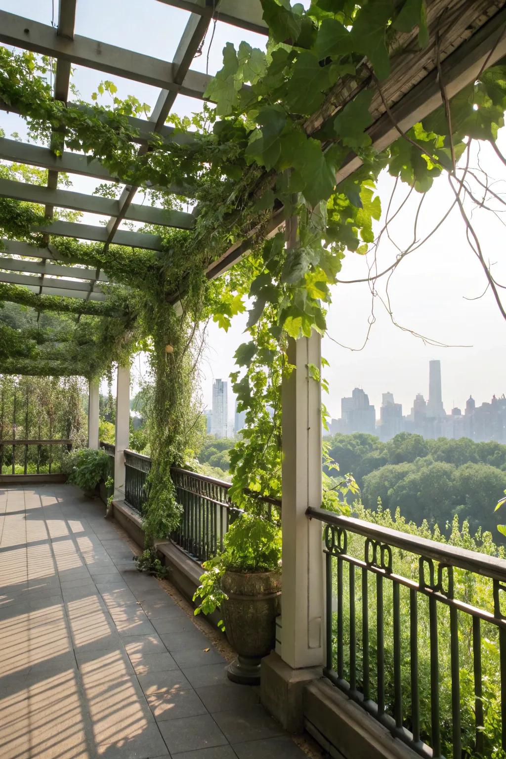 A lush green balcony showcasing supports filled with climbing plants.