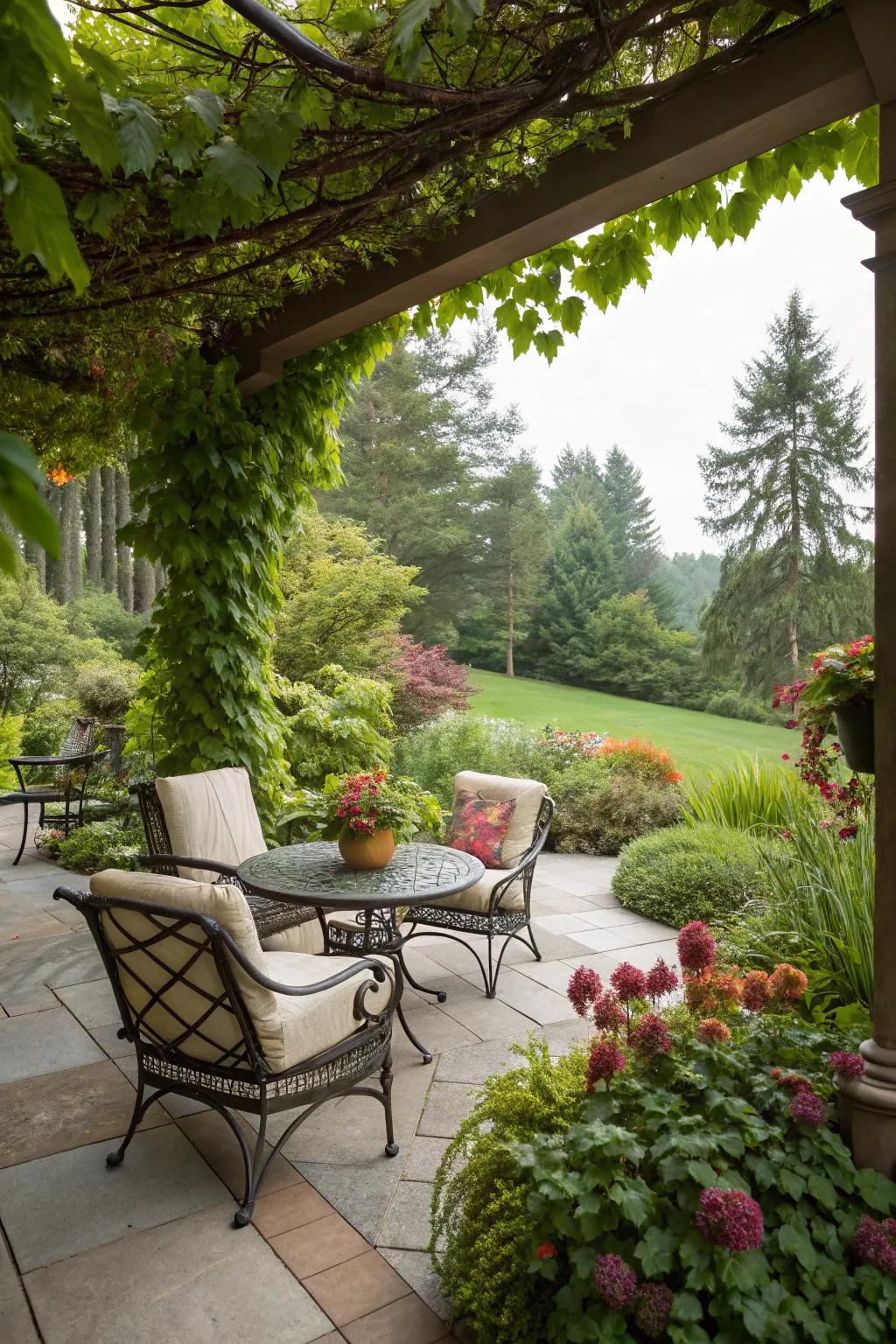 Greenery brings life and peace to your patio.