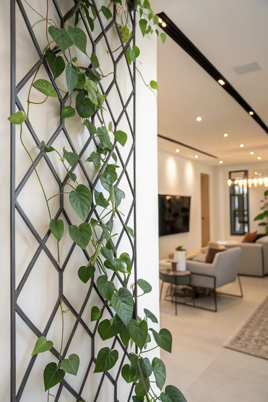 A stylish living zone features a Sweetheart plant ascending a geometric wall trellis.