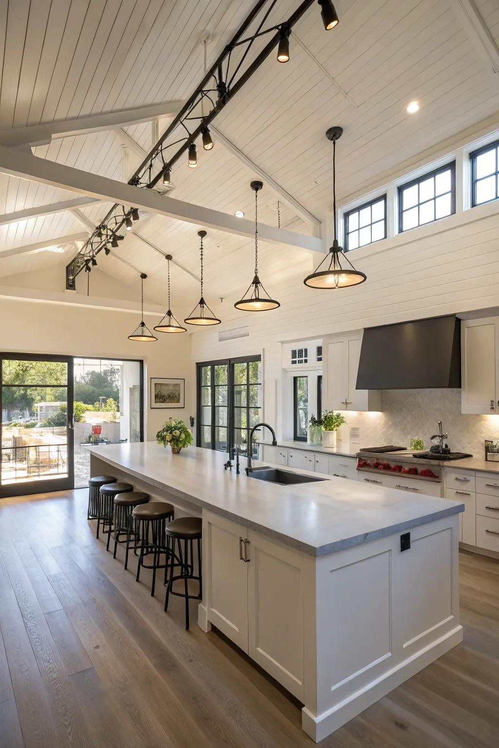 Ceiling-mounted track lighting for a bright and functional kitchen.