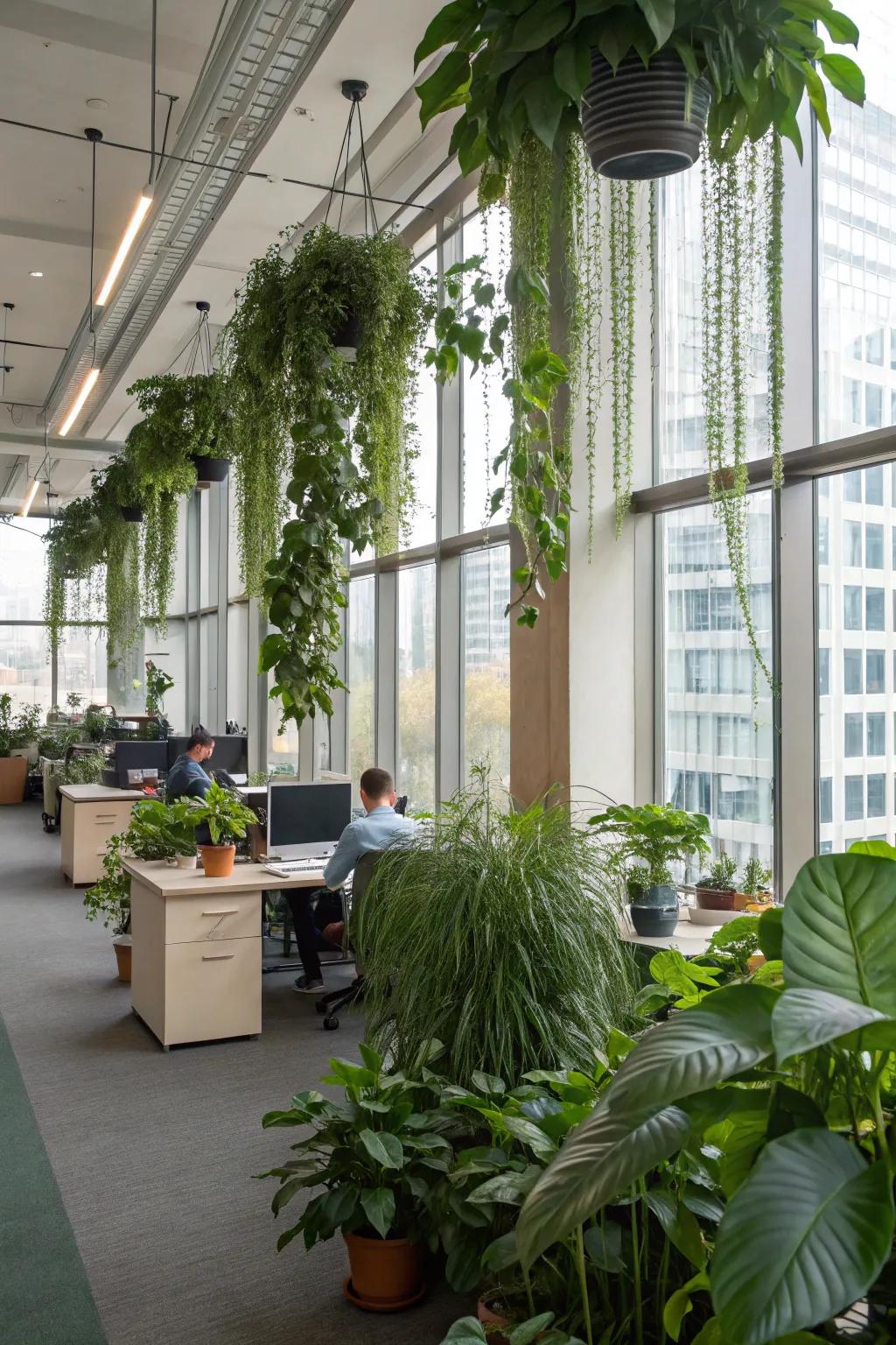An office enhanced with indoor plants and verdant touches.