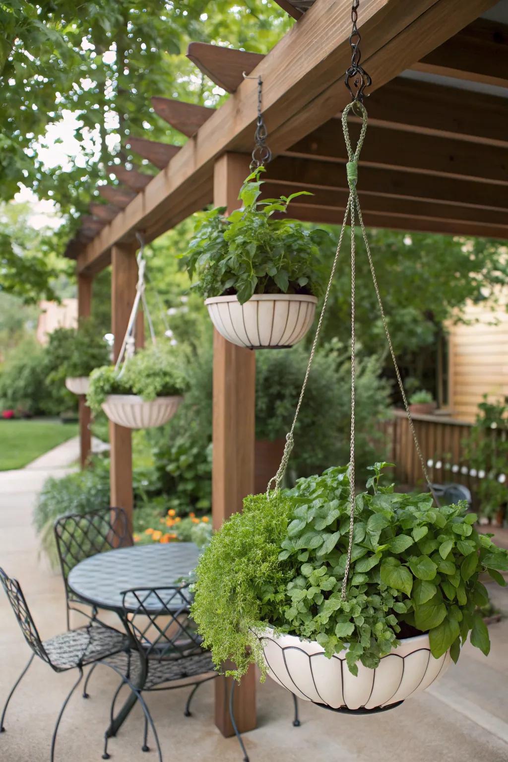 Hanging planters bringing herbs to eye level.