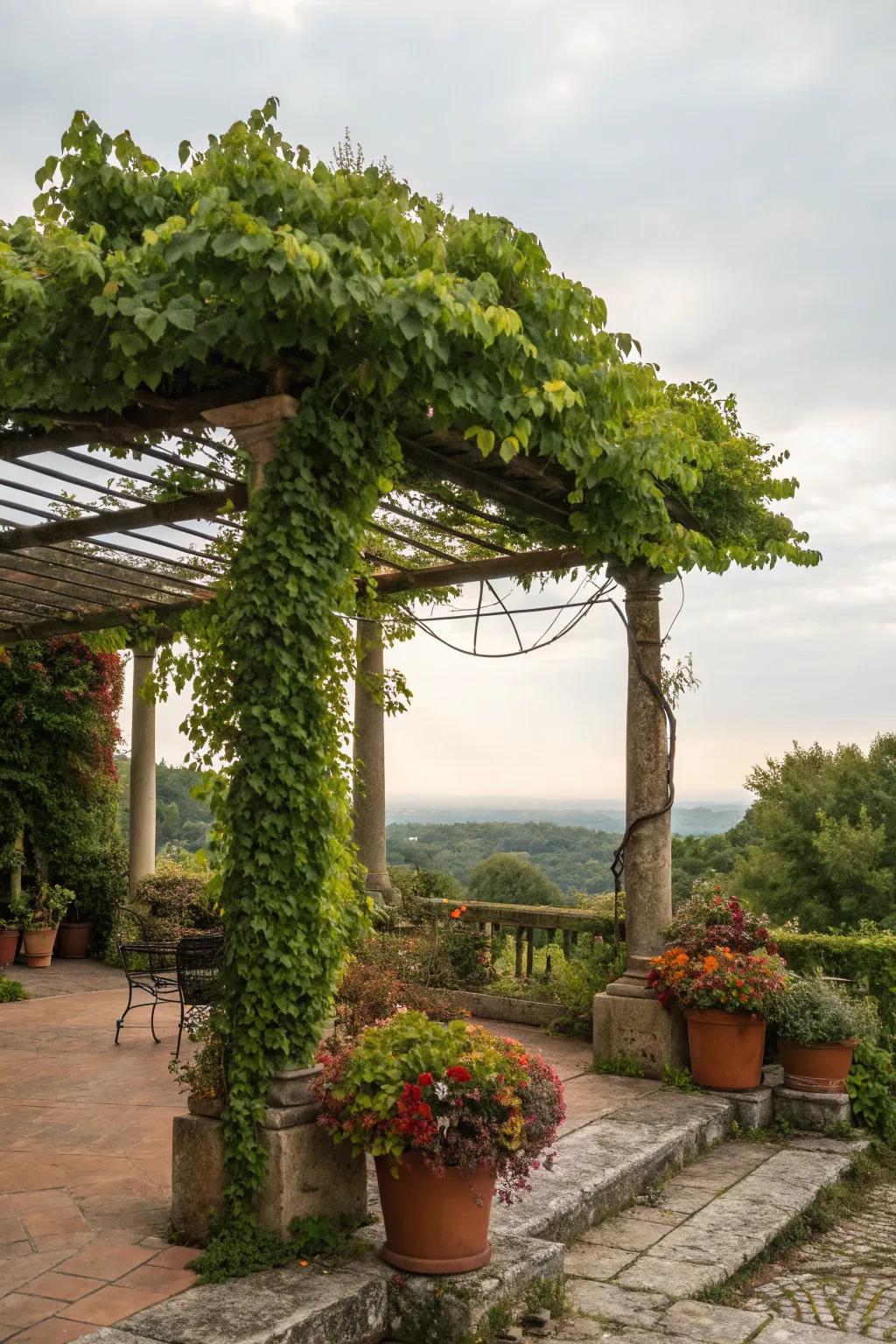 Greenery infuses life and vibrancy into your pergola's environment.
