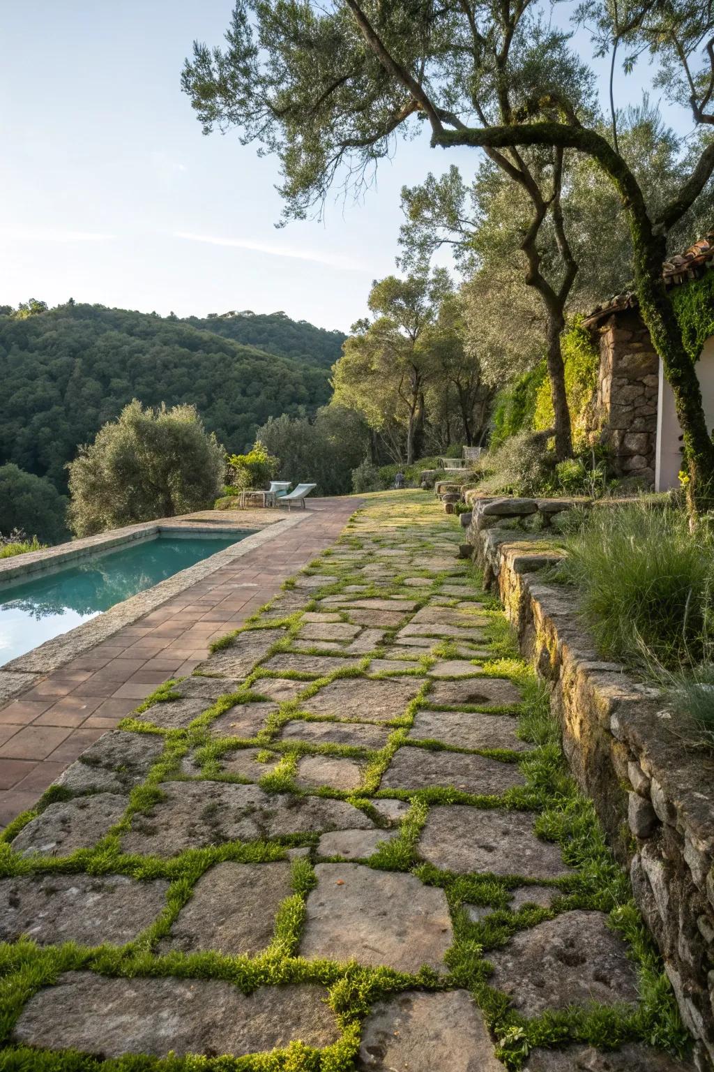 Rock footpaths offer a countryside and appealing approach to your pool.
