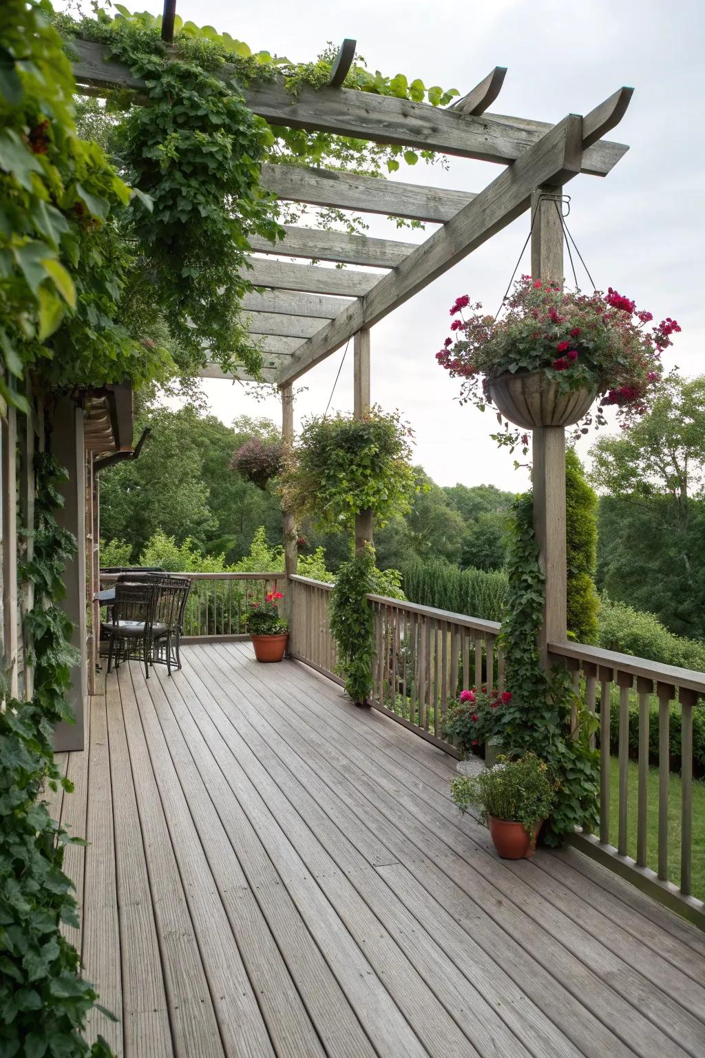 Enhance your deck with a darling pergola.