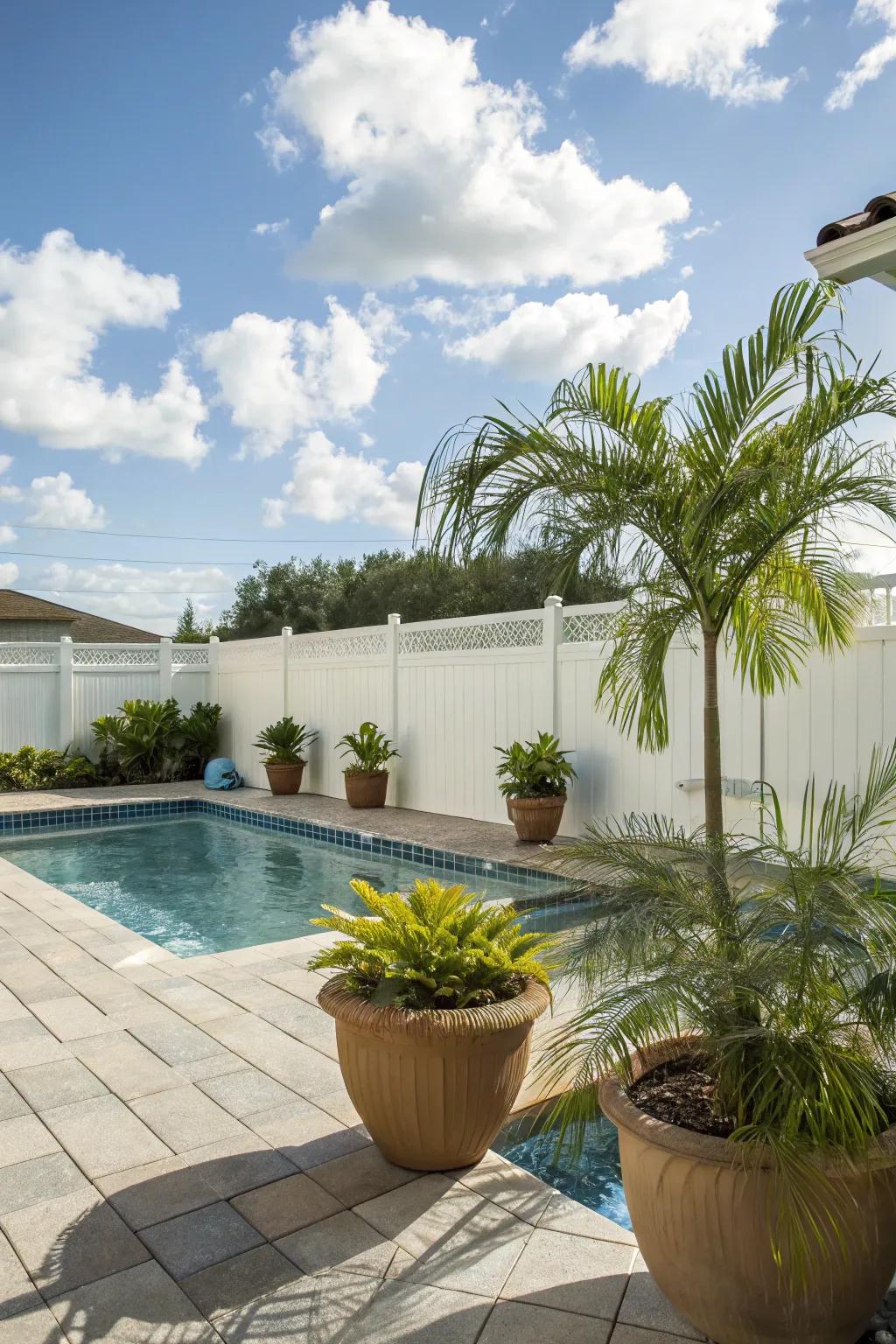 Palms in containers impart adaptability and lushness to any poolside location.