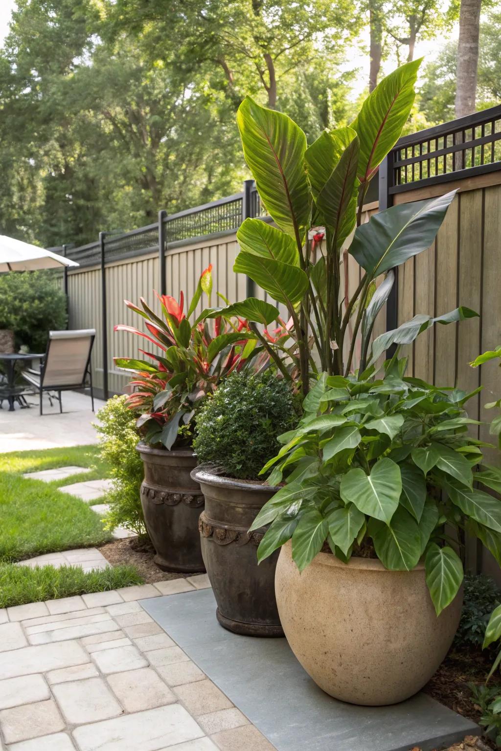 Potted greenery delivers adaptable and verdant privacy options.