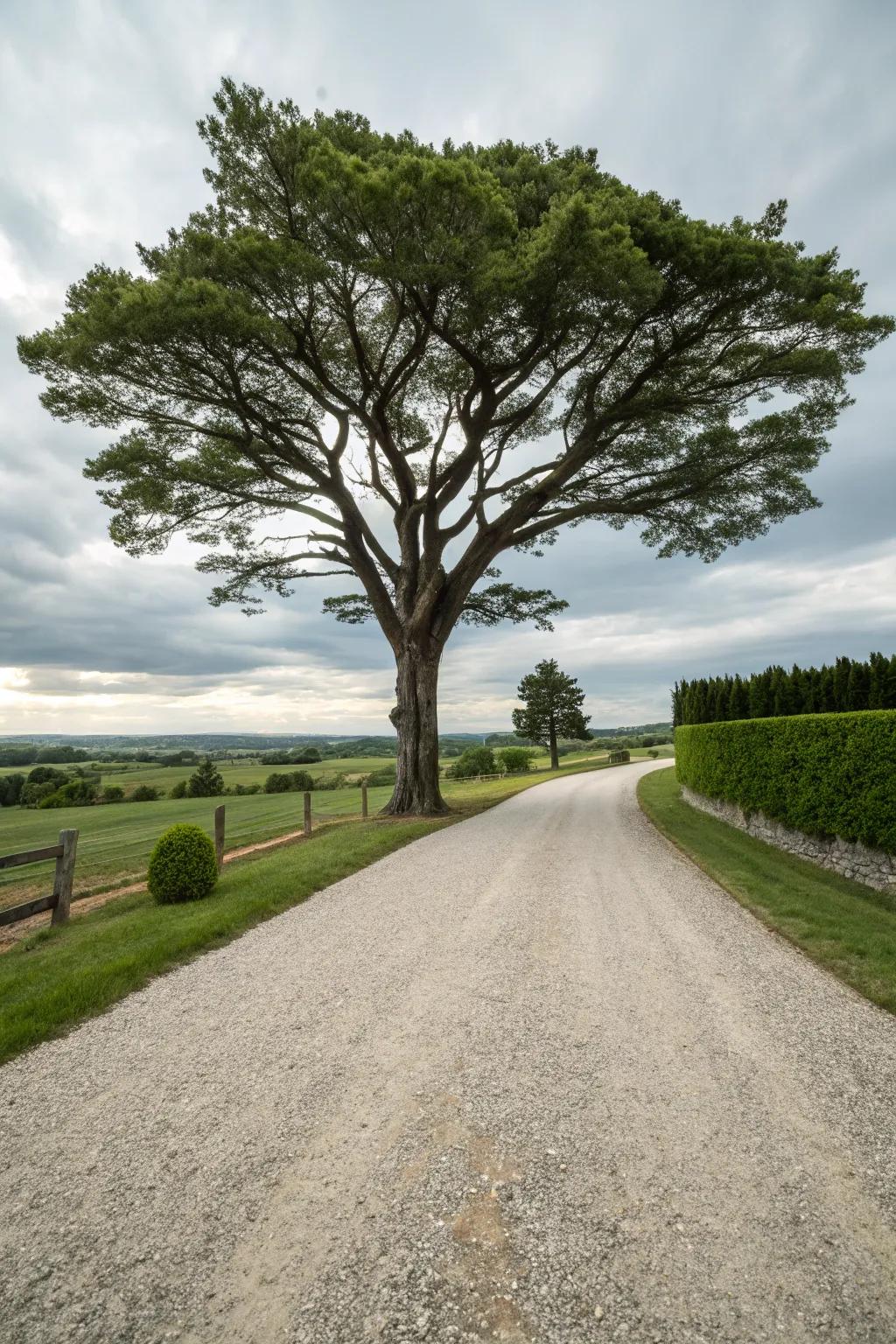A centerpiece tree adds grandeur and interest.