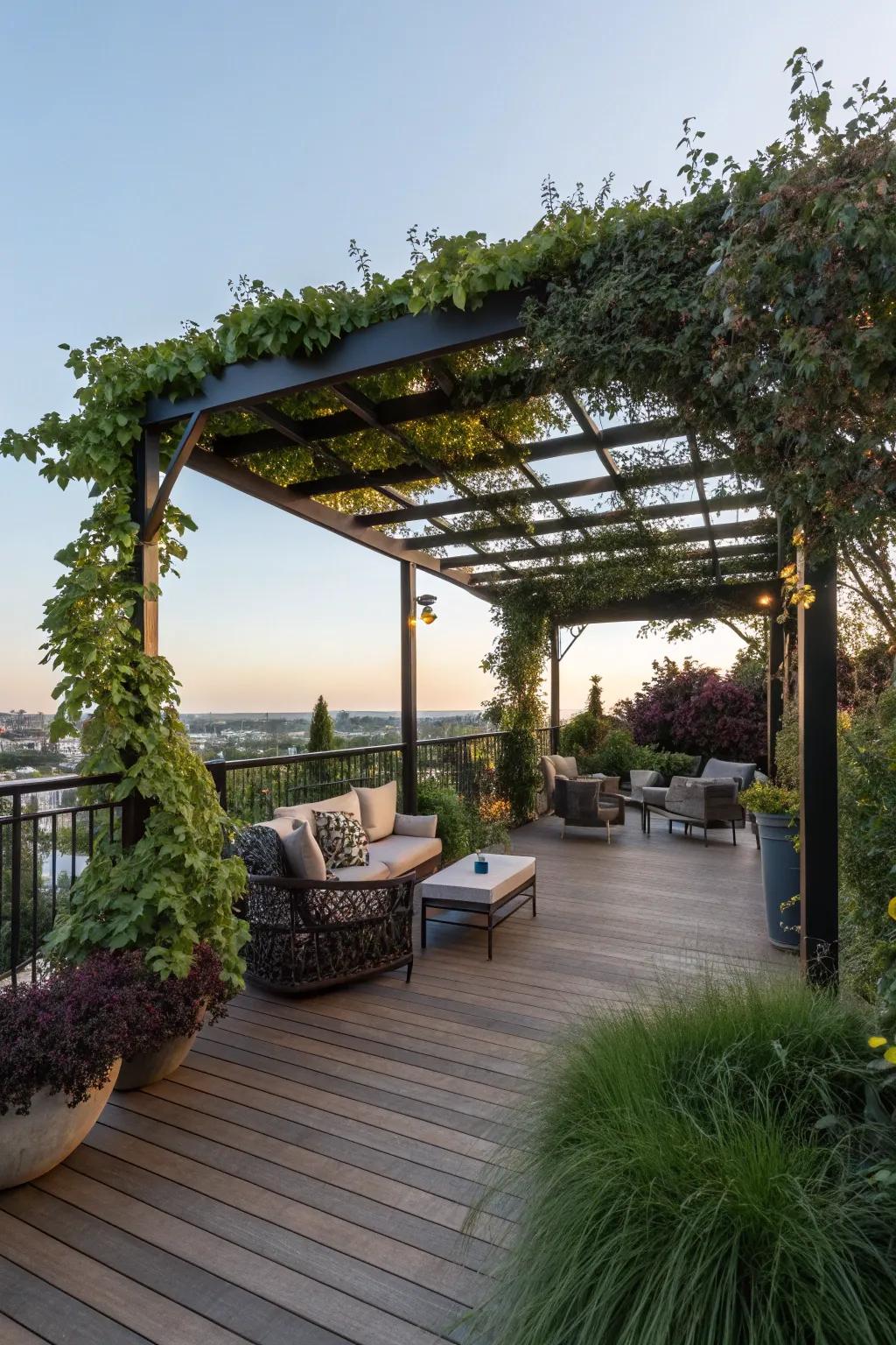 A pergola offering shade and style.