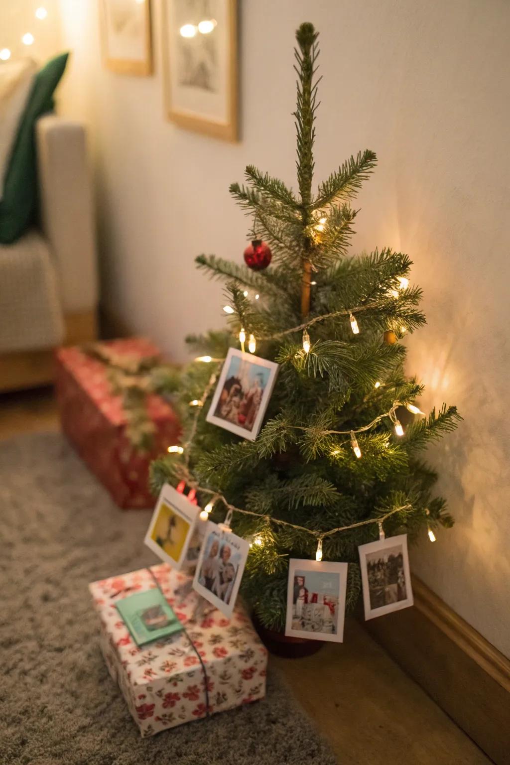 Decorative tree exhibits introduce charm to your celebrations.