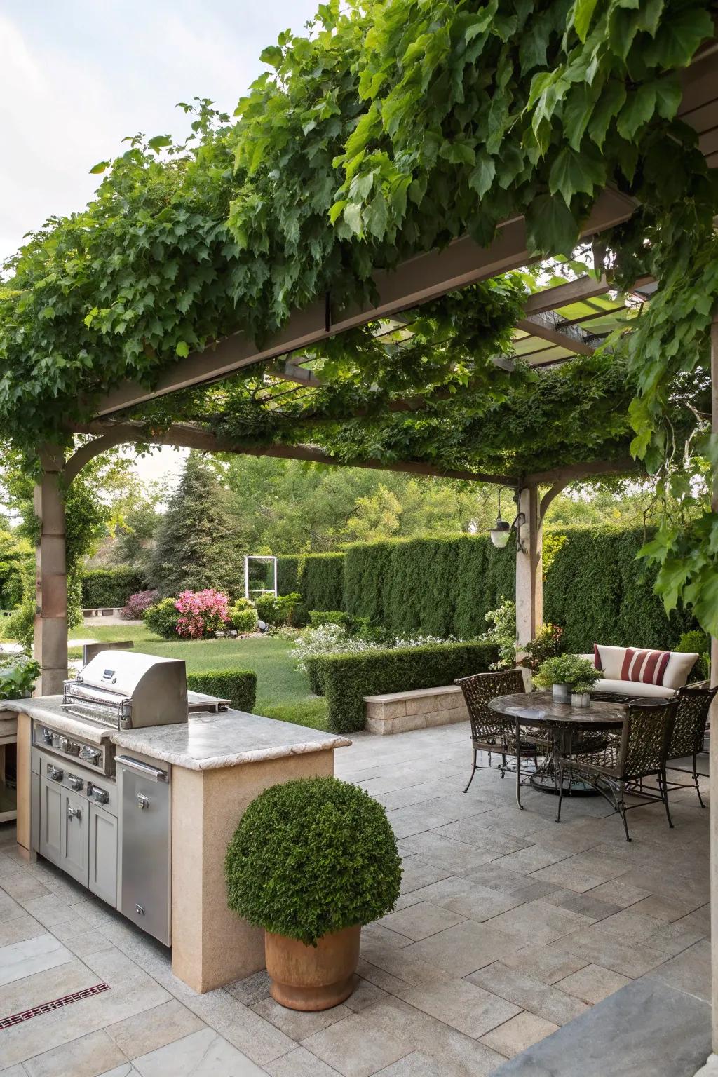 Green oasis with a pergola laden in clinging vines.