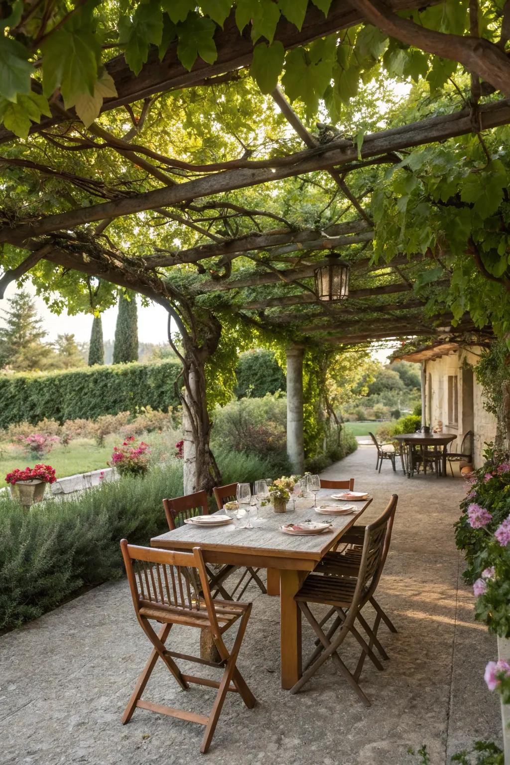 A dining area nestled under a charming pergola, enhanced with greenery.