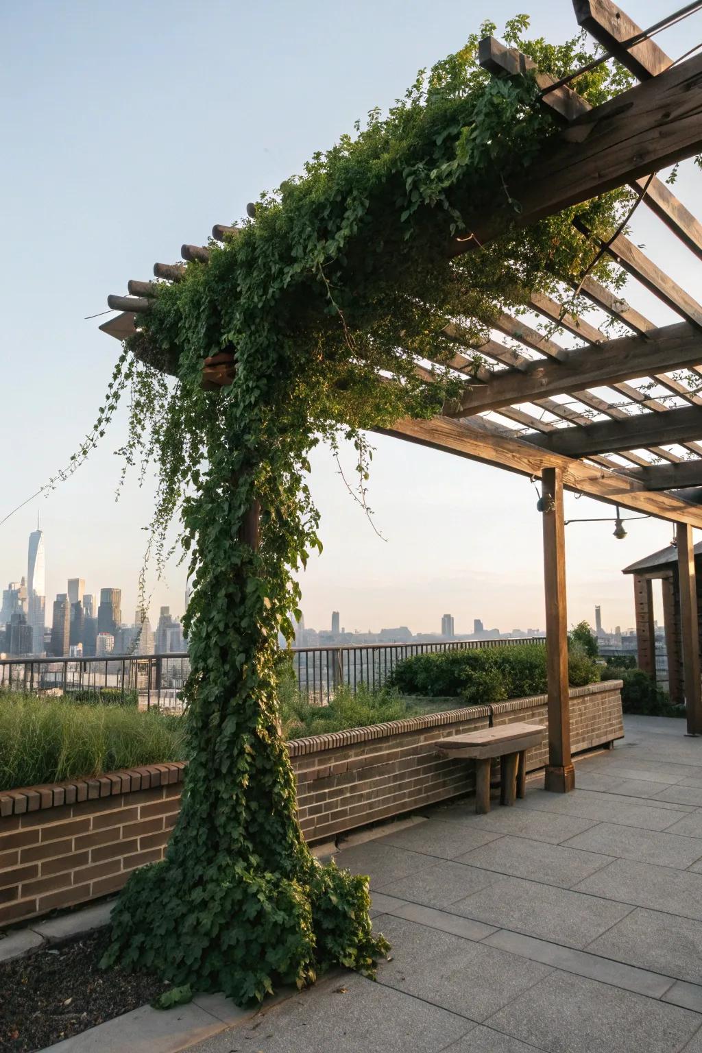 Contribute sophistication and shade using a beautifully designed gazebo.