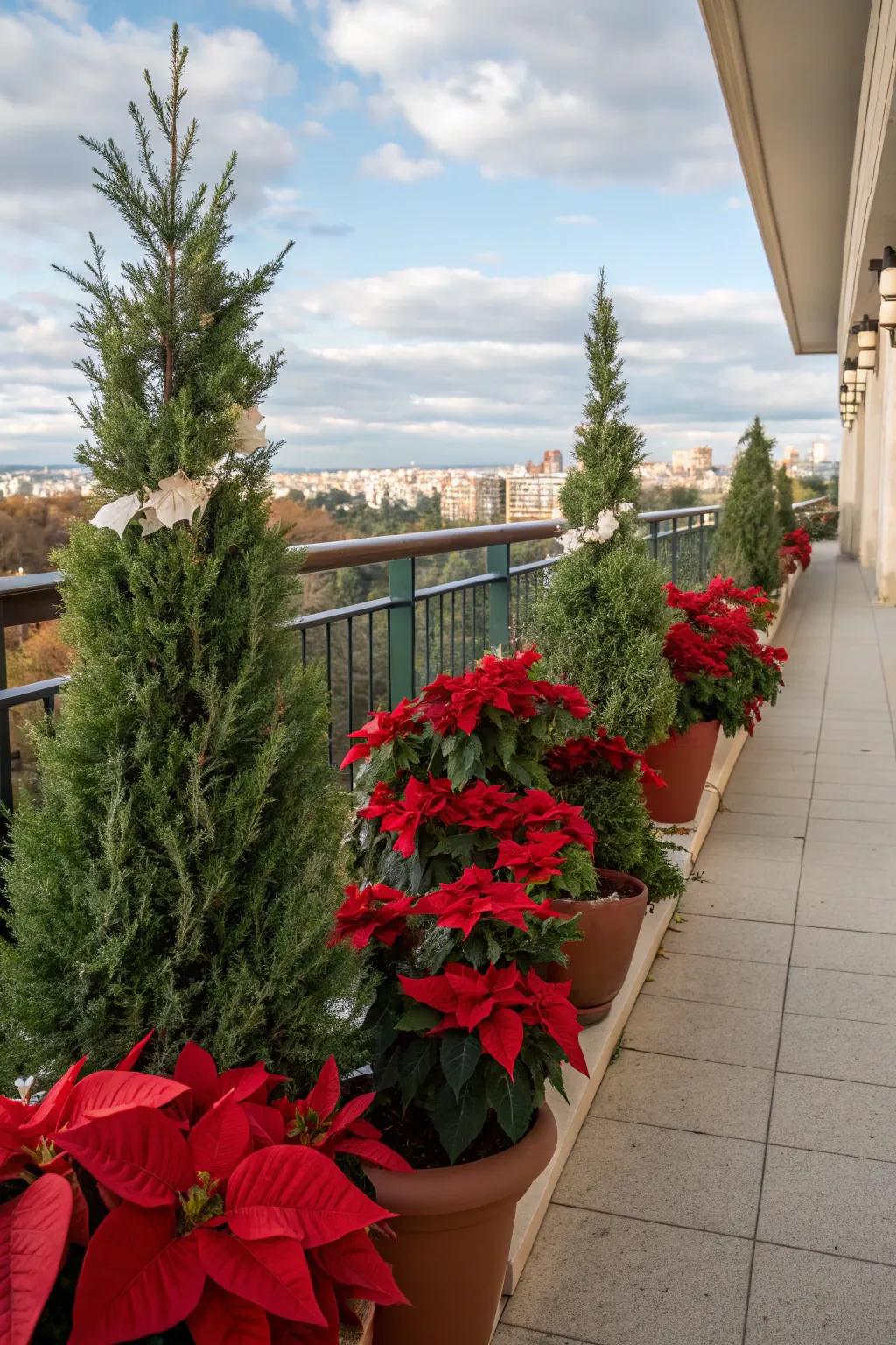 Yuletide blooms impart radiant celebratory coloration to this balcony.