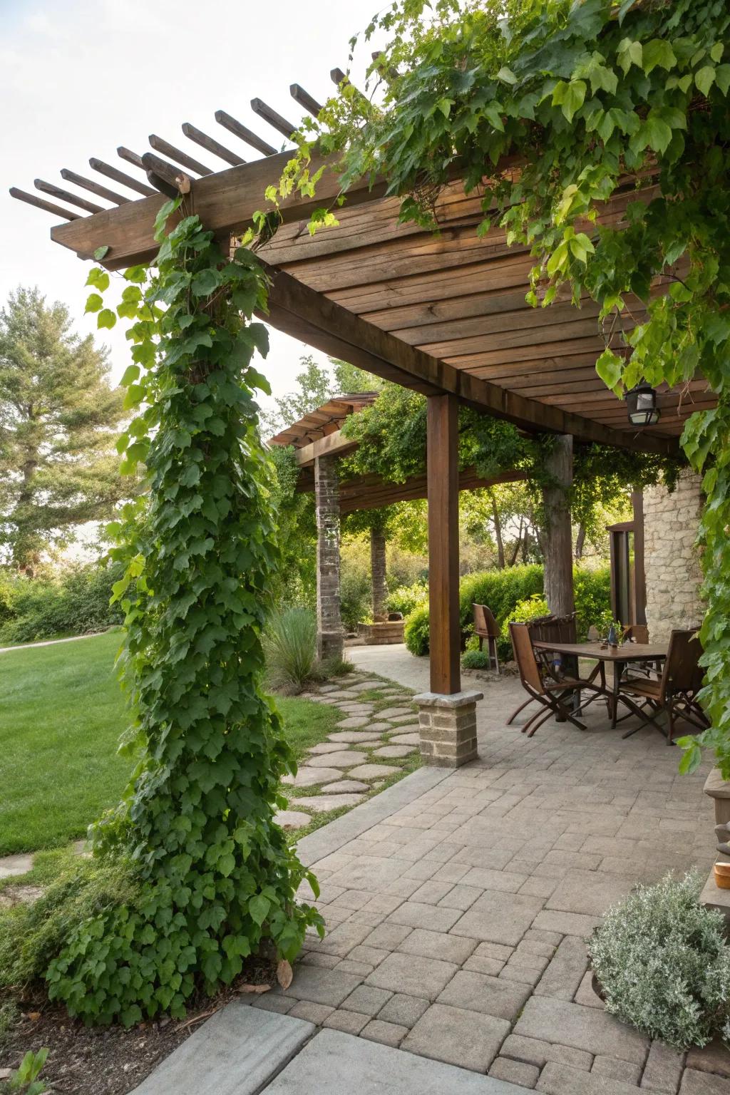 A garden arch adds structure and shade.
