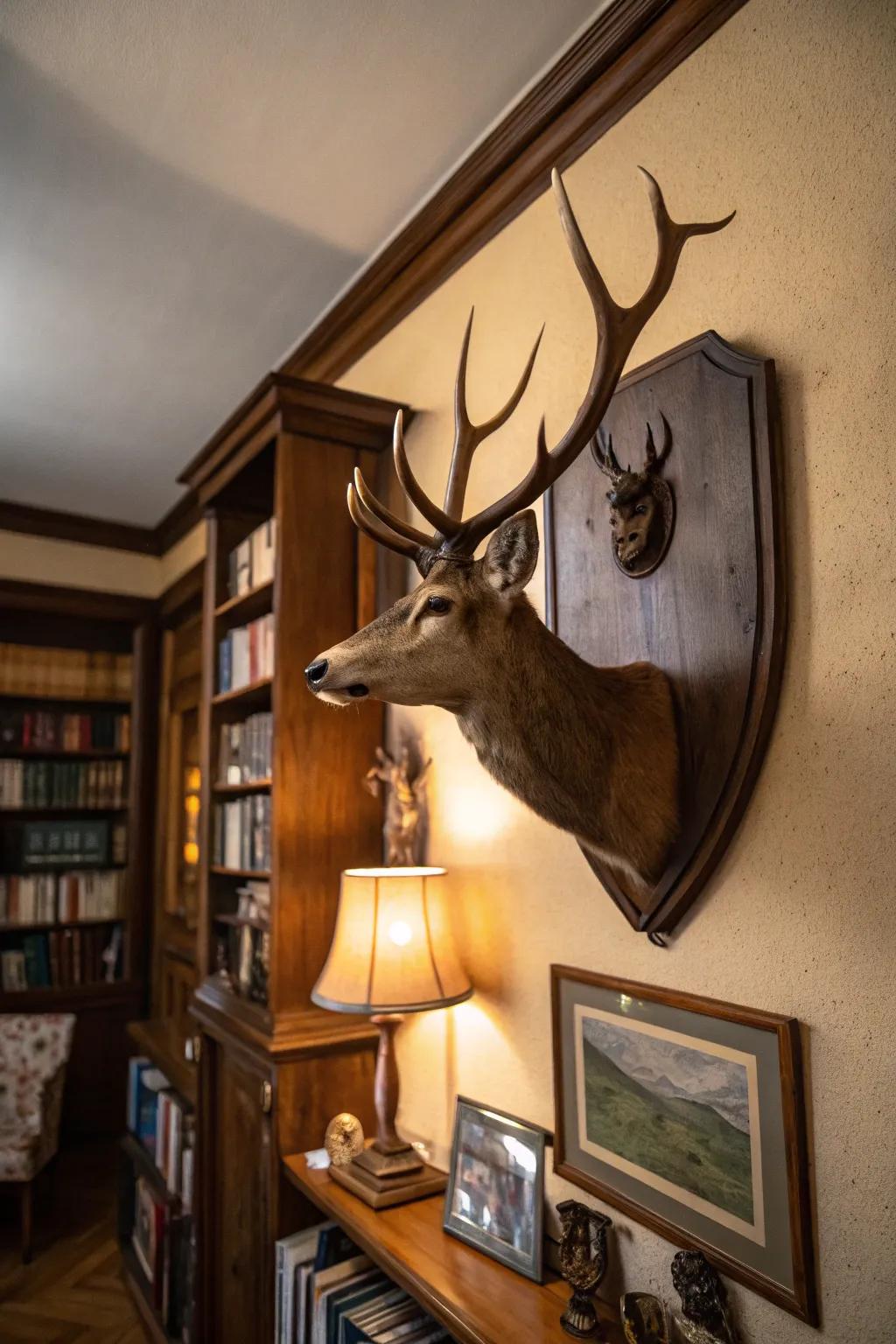 Deer antlers displayed on an aged plaque infuse historical charm into a cozy study.