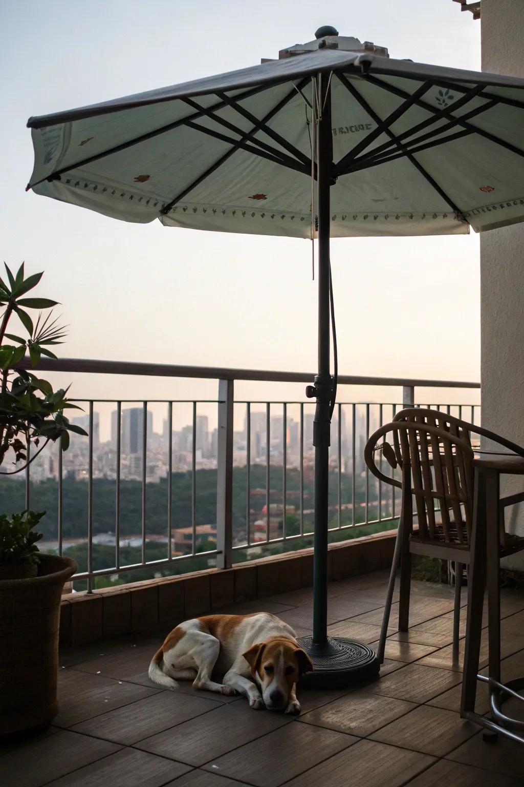 Concealed zones permit dogs to remain cool and at ease.