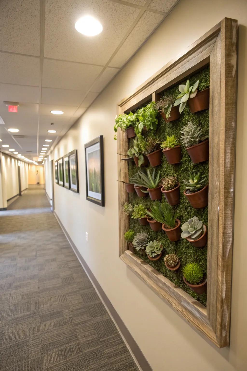 Succulents encased as dynamic artwork create a captivating showcase.