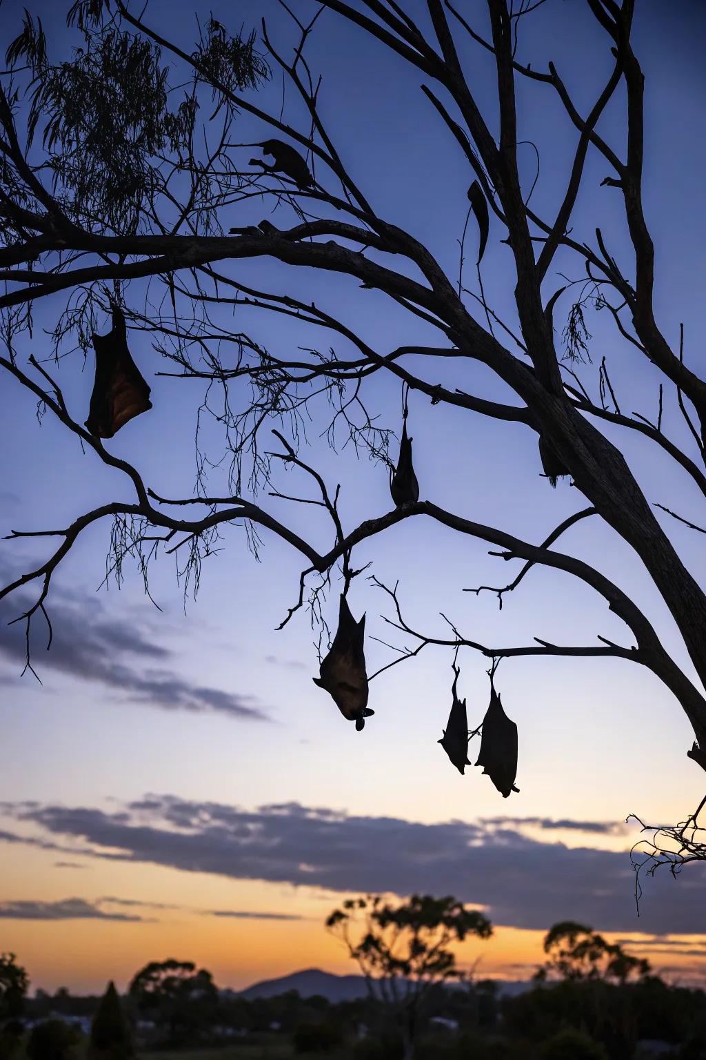Flittering creatures introducing a flutter of fear to the Halloween night.