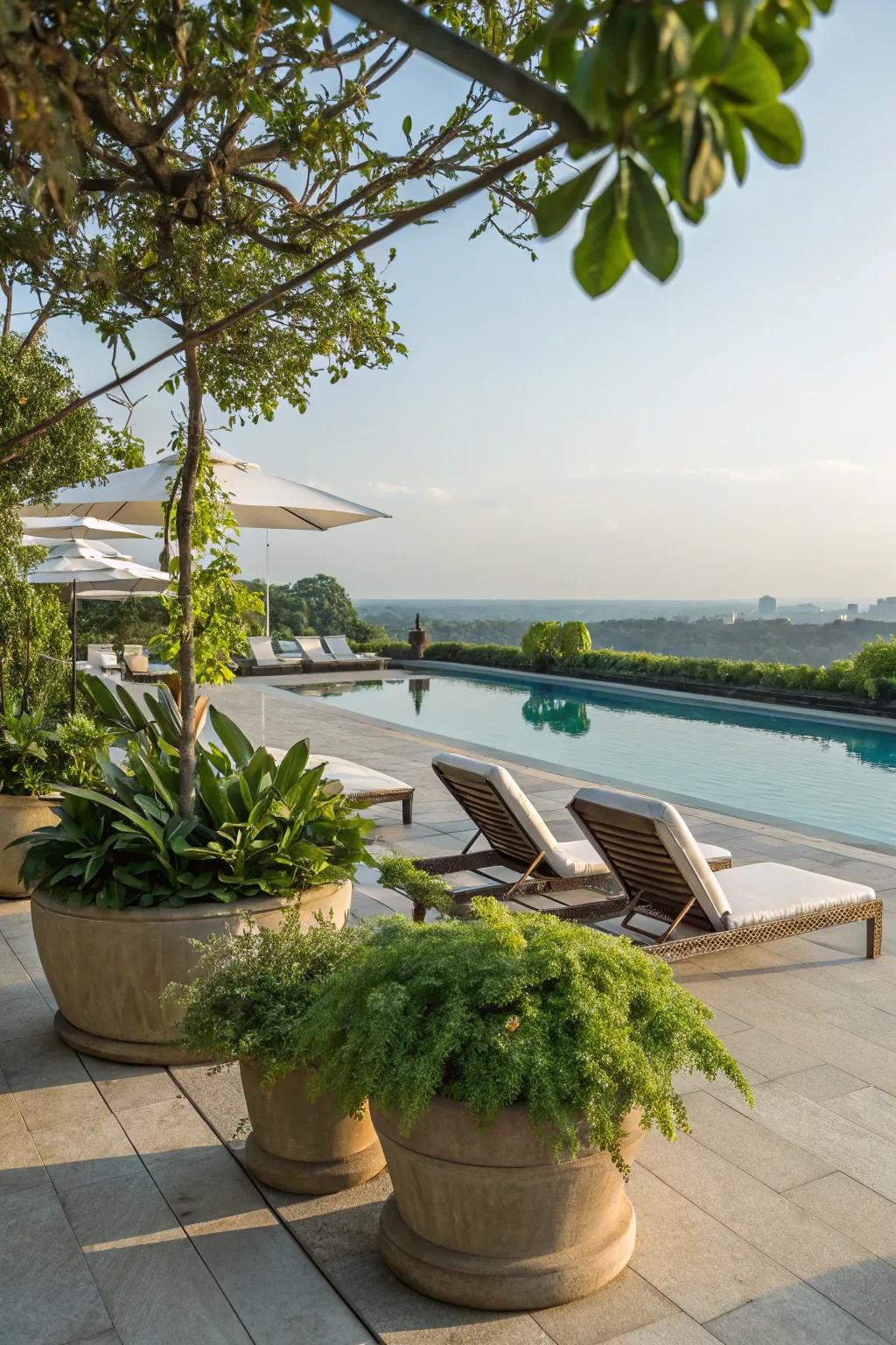 Natural features with garden boxes and greenery enhancing the pool deck.