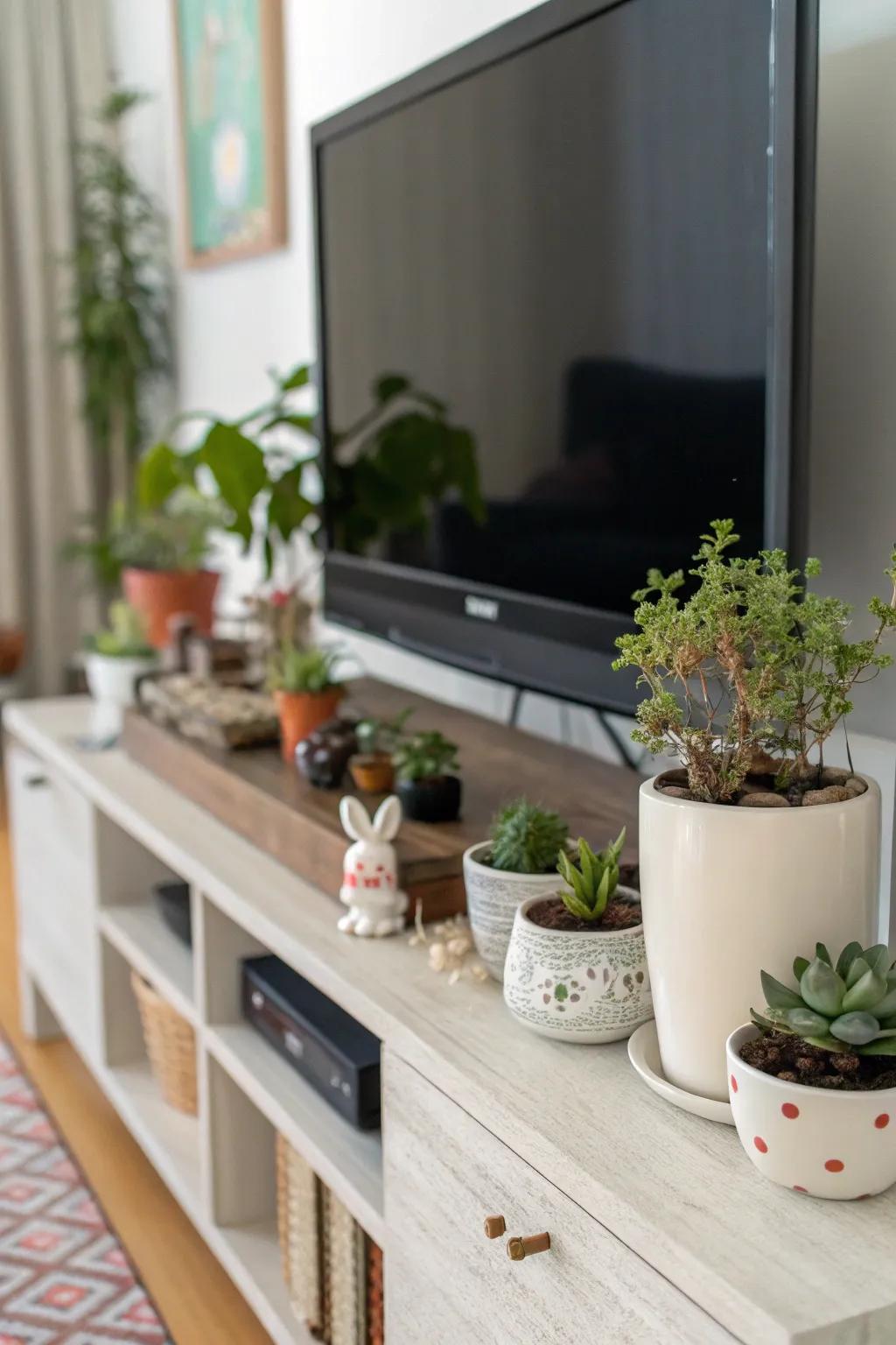 Greenery and decor create a warm, personal media center.