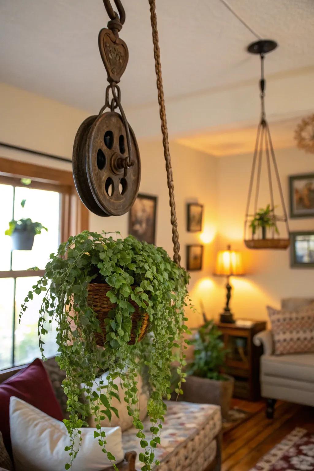 Take your greenery game up a notch with a pulley plant hanger.