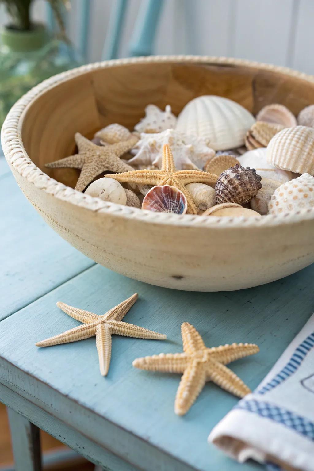 Convey the shoreline into your dwelling with bivalve shells and asteroid starfish