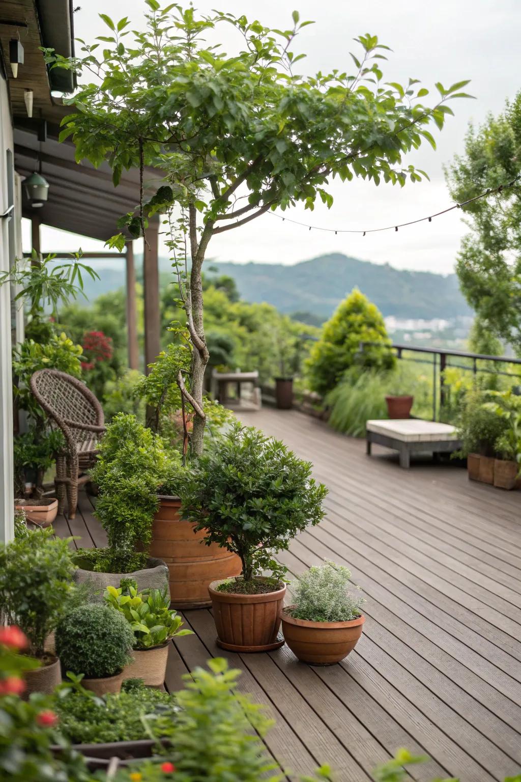 Natural elements infuse your deck with a refreshing ambiance.