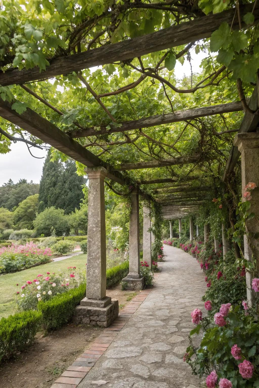 A pergola trellis delivers both shade and a stunning garden spectacle.