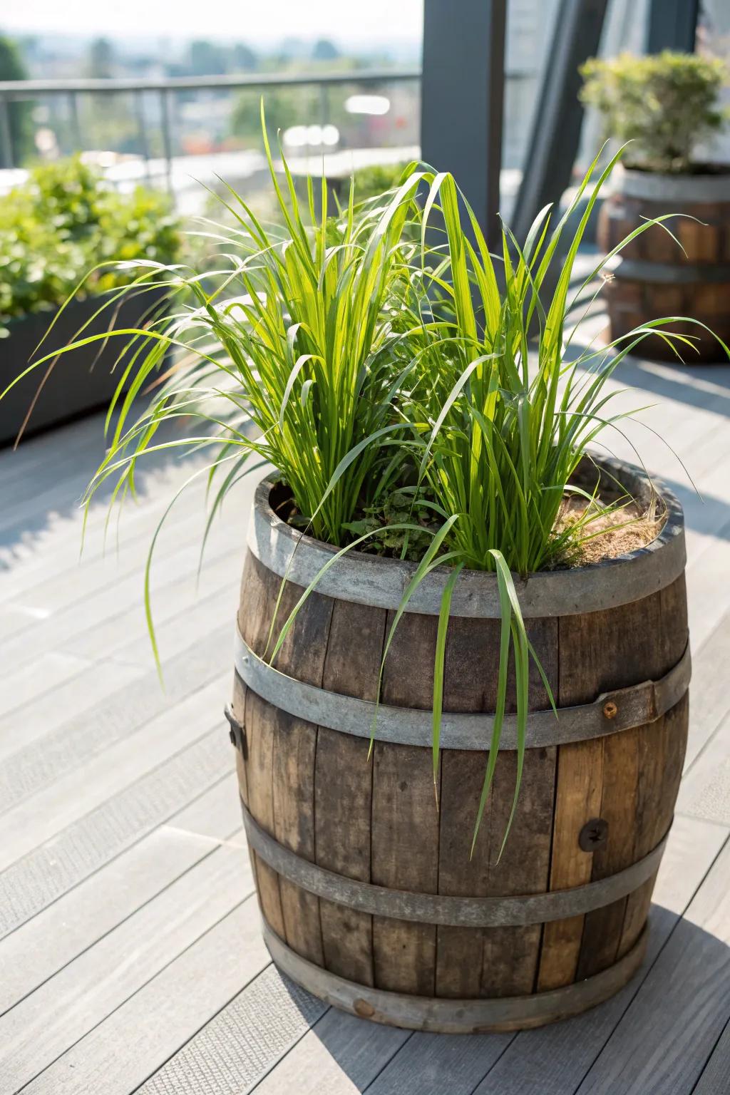 Transform your garden with a repurposed grape cask planter, perfectly suited for Verdant Stalk.