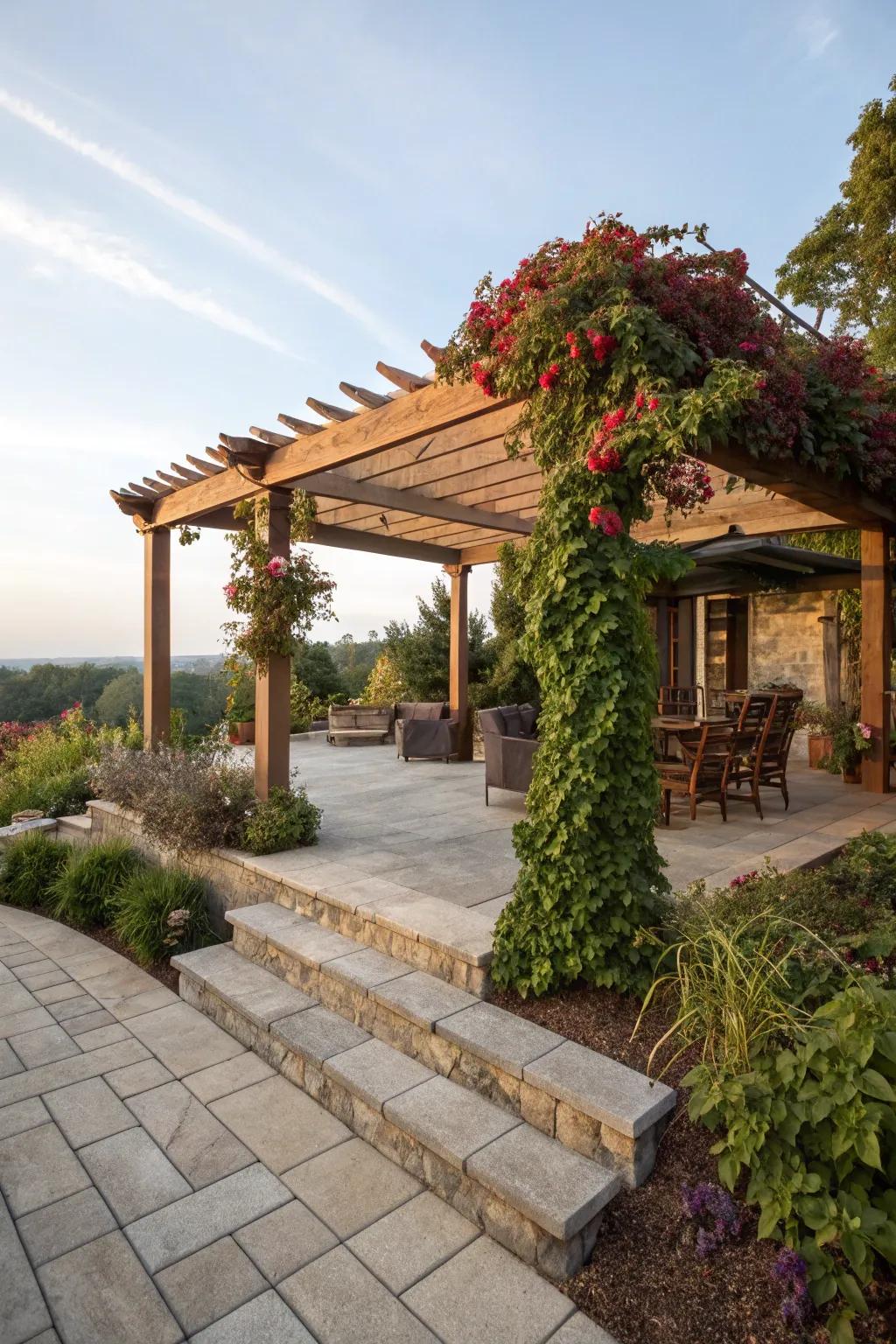 A pergola provides shade and a hint of grace.
