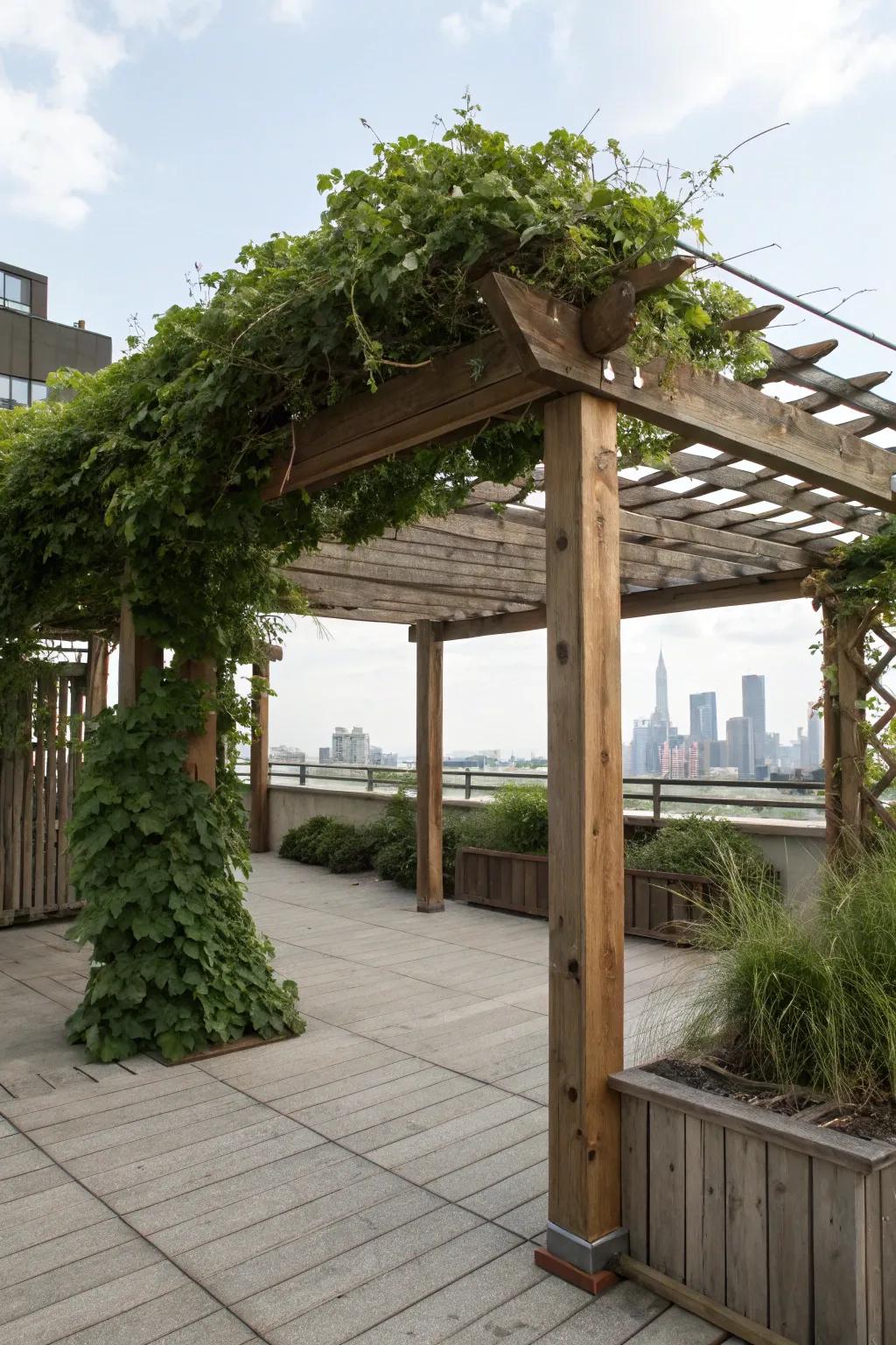 An arbor provides both shade and stylistic flair to your rooftop.